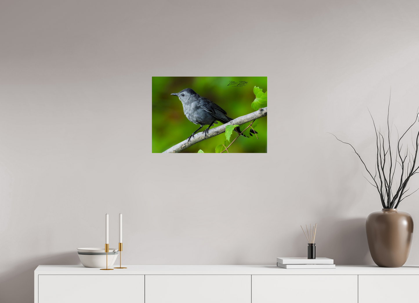 24 x 16″, Photo Print On Fuji Crystal DP II Zillas Zoom Image 302