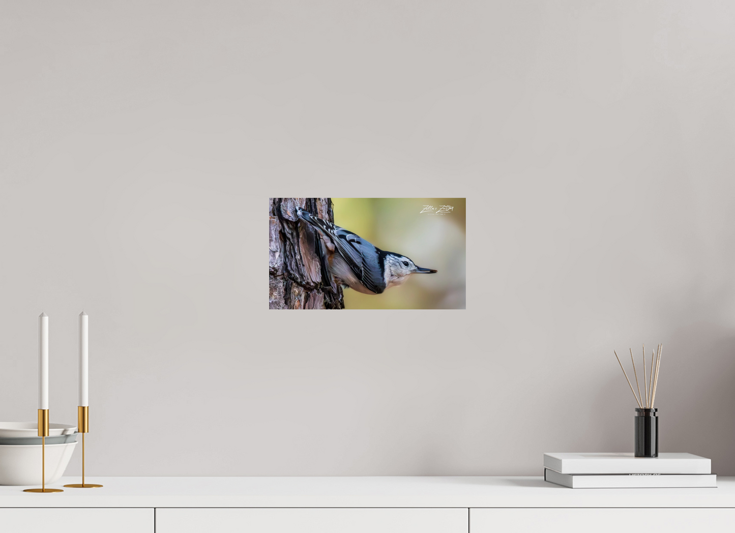 12 x 6.8″, Photo Print On Fuji Crystal DP II Zillas Zoom Image 326