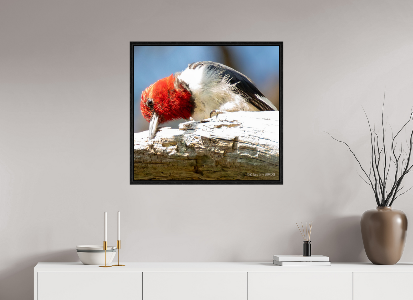 30.2 x 28″, Floater Frame Zillas Zoom Image 270