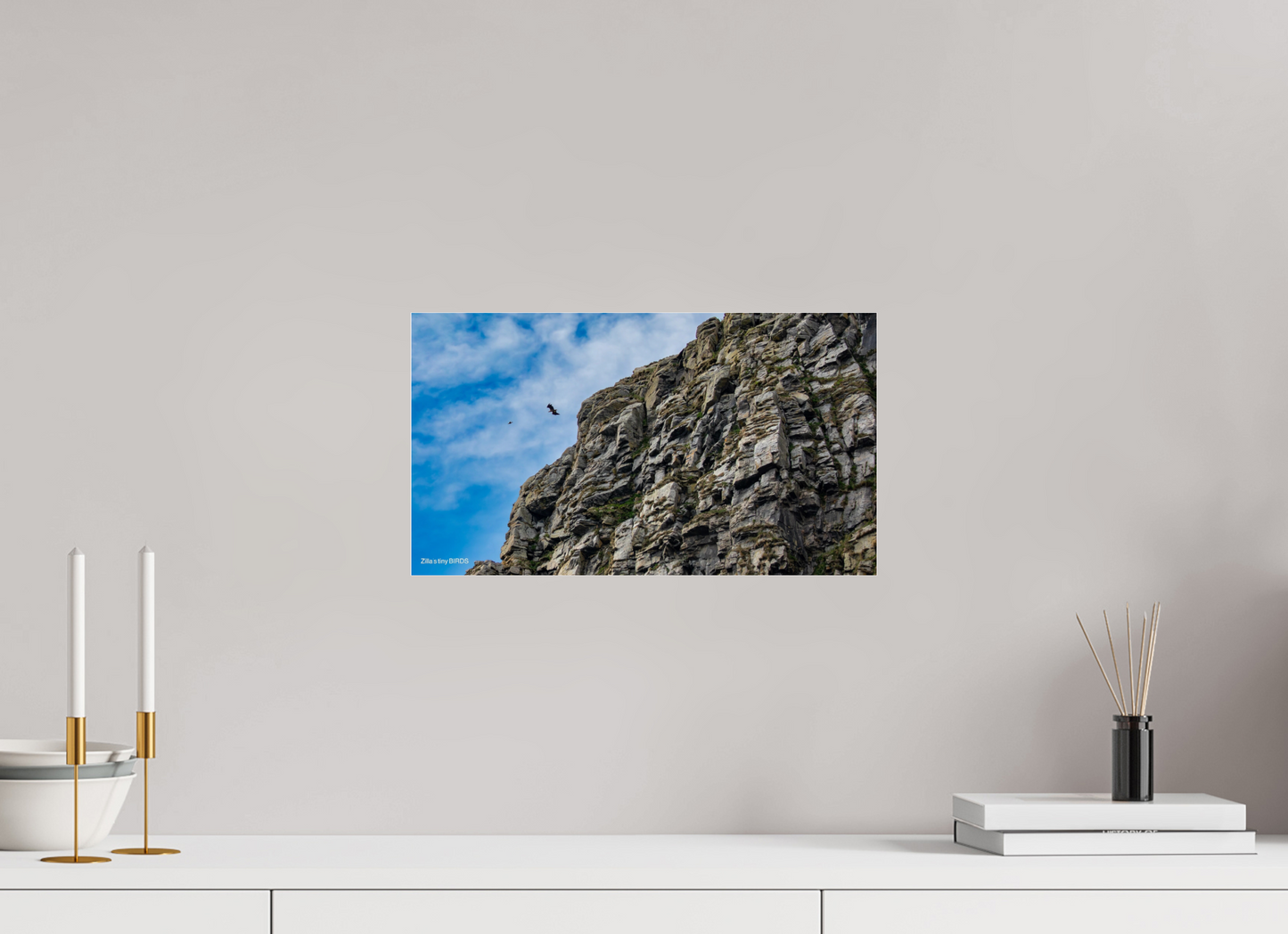 16 x 9″, Photo Print Under Acrylic Glass Zillas Zoom Image 215