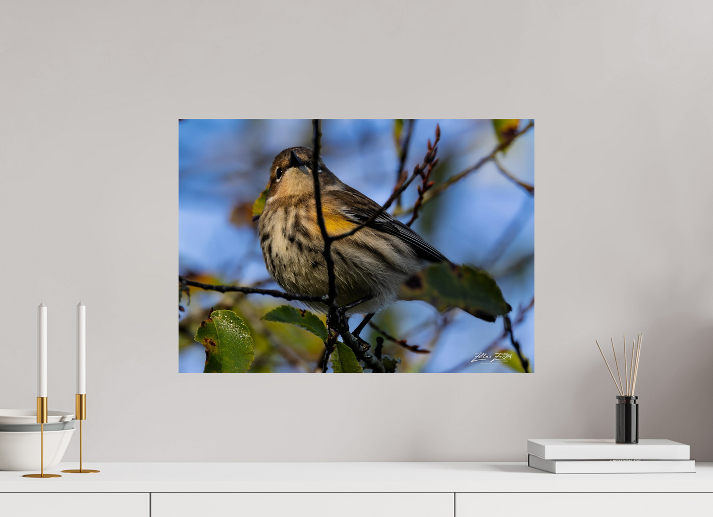 22.4 x 16″, Photo Print On Fuji Crystal DP II Zillas Zoom Image 356