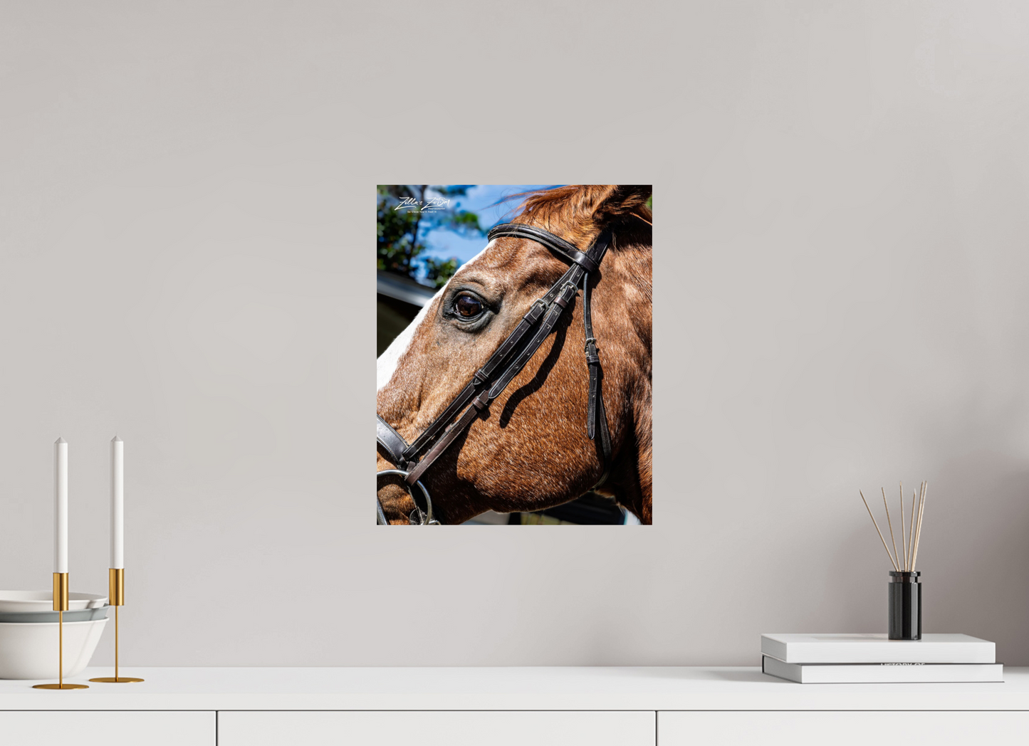 12 x 14.8″, Photo Print On Fuji Crystal DP II Zillas zoom image 149