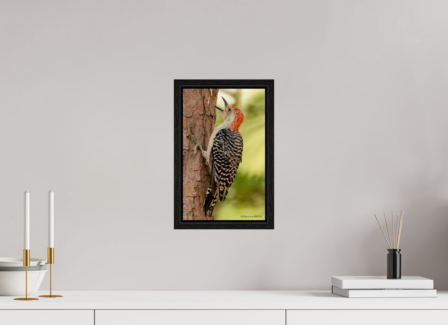 8 x 12.8″, Floater Frame Zillas Zoom Image 459