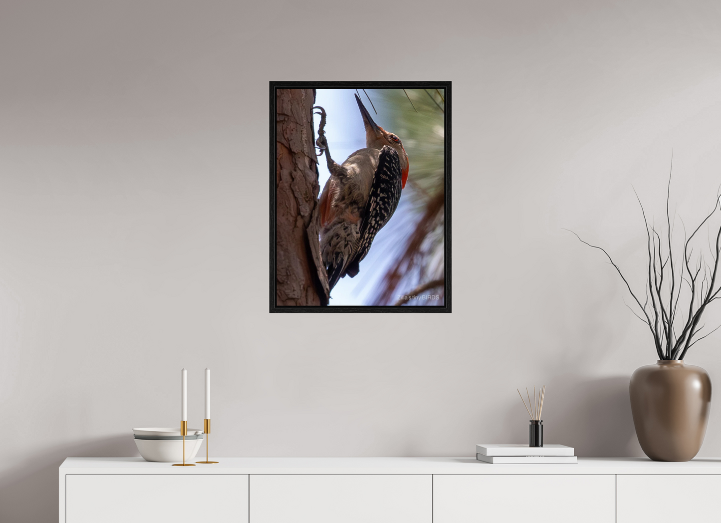 20 x 25.9″, Floater Frame Zillas Zoom Image 474