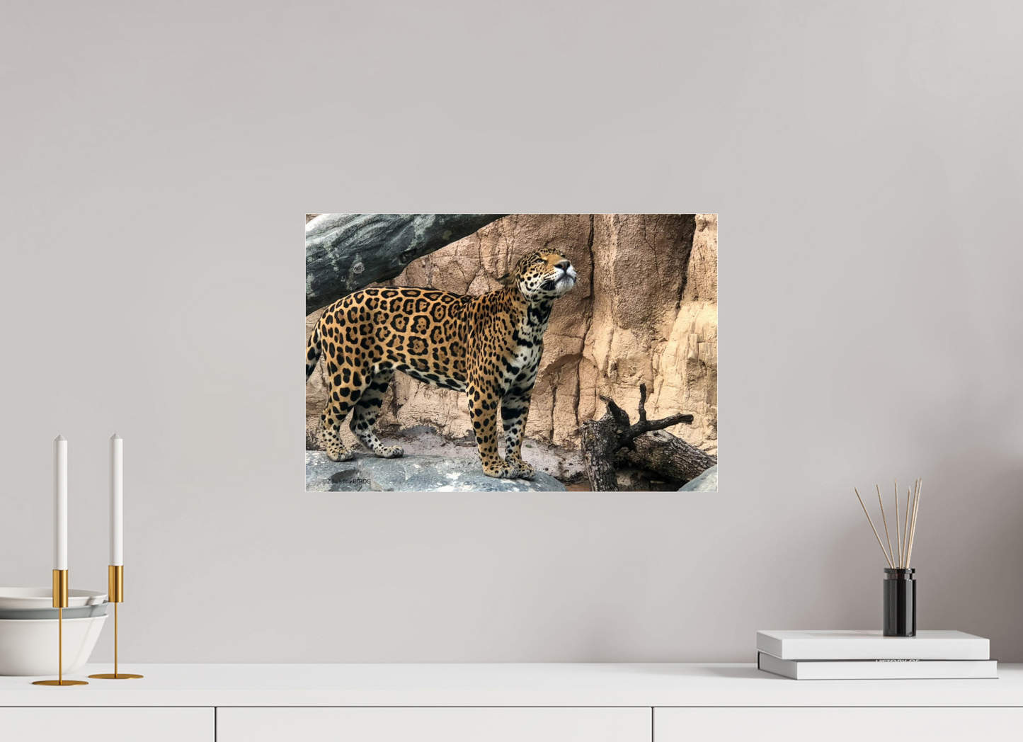 17.8 x 12″, Photo Print Under Acrylic Glass Zillas zoom image 138