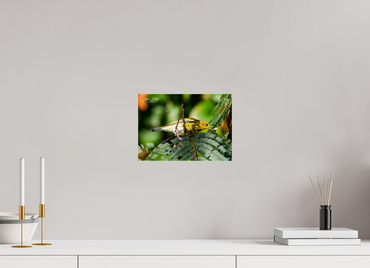 11.2 x 8″, Photo Print Under Acrylic Glass Zillas Zoom Image 288
