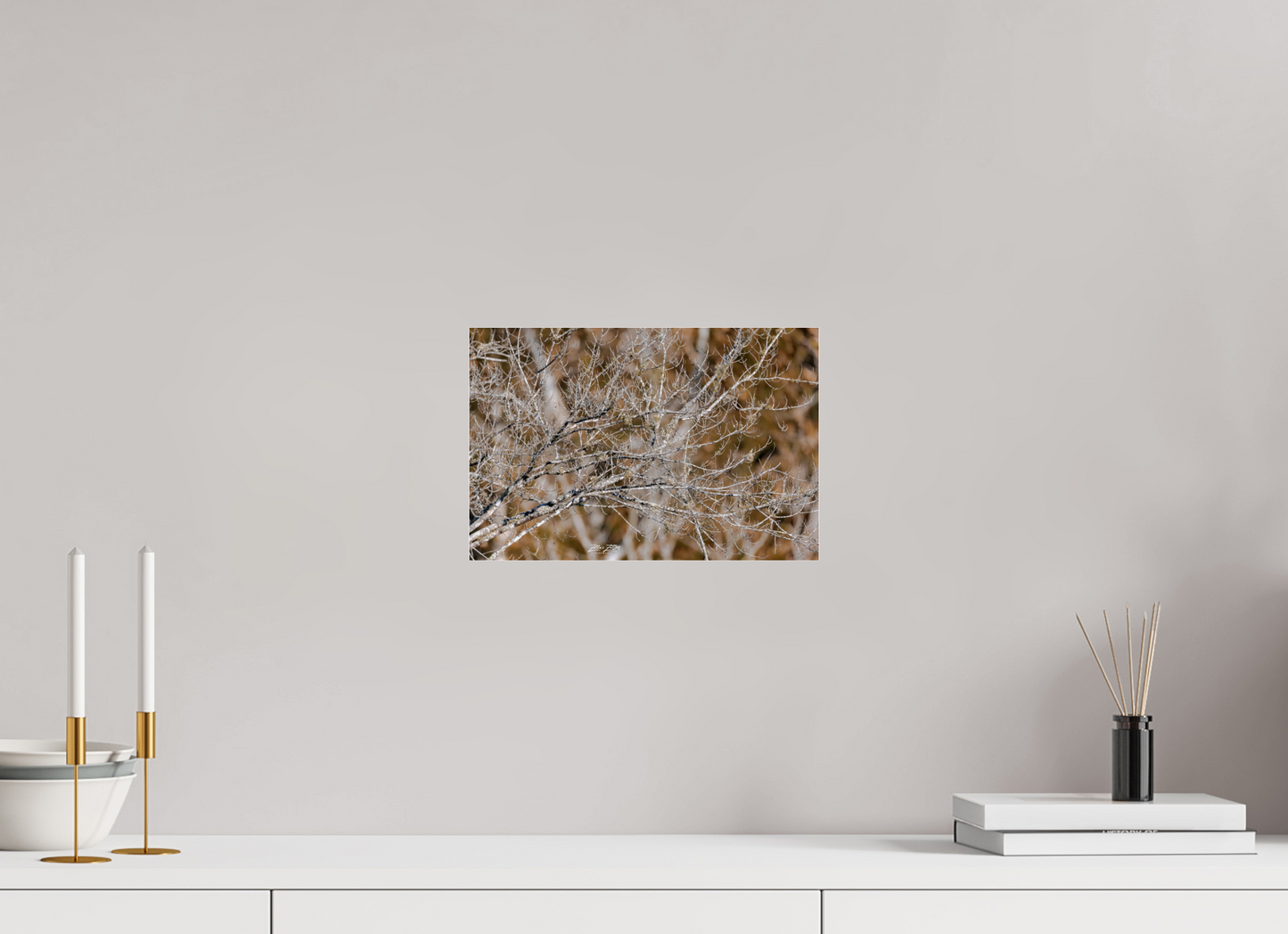 12 x 8″, Photo Print Under Acrylic Glass Zillas Zoom Image 235