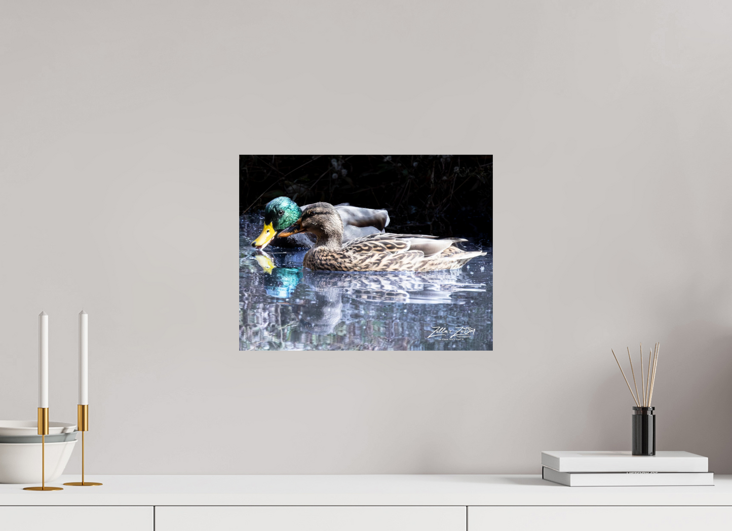 15.6 x 12″, Photo Print On Fuji Crystal DP II Zillas Zoom Image 292