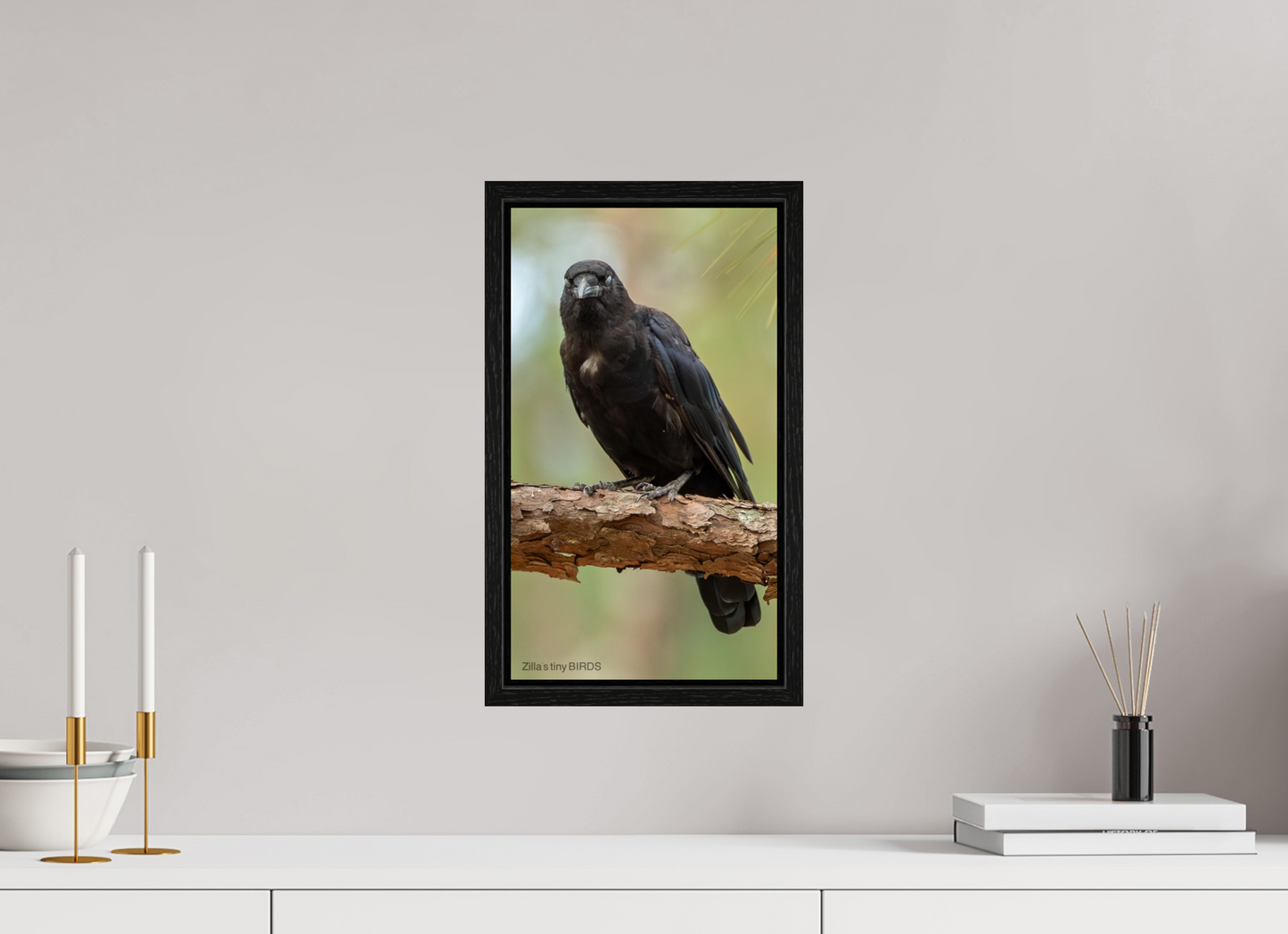 9 x 16″, Floater Frame Zillas Zoom Image 478