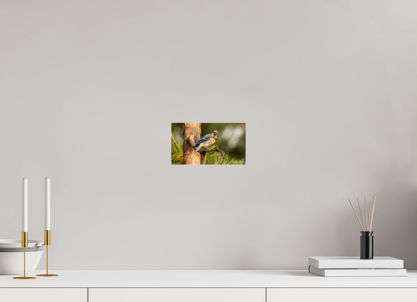 8 x 4.5″, Photo Print On Fuji Crystal DP II Zillas Zoom Image 385