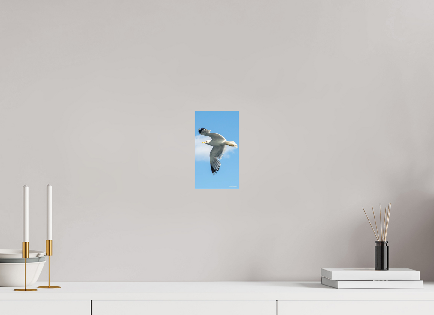 4.5 x 8″, Photo Print Under Acrylic Glass Zillas Zoom Image 466