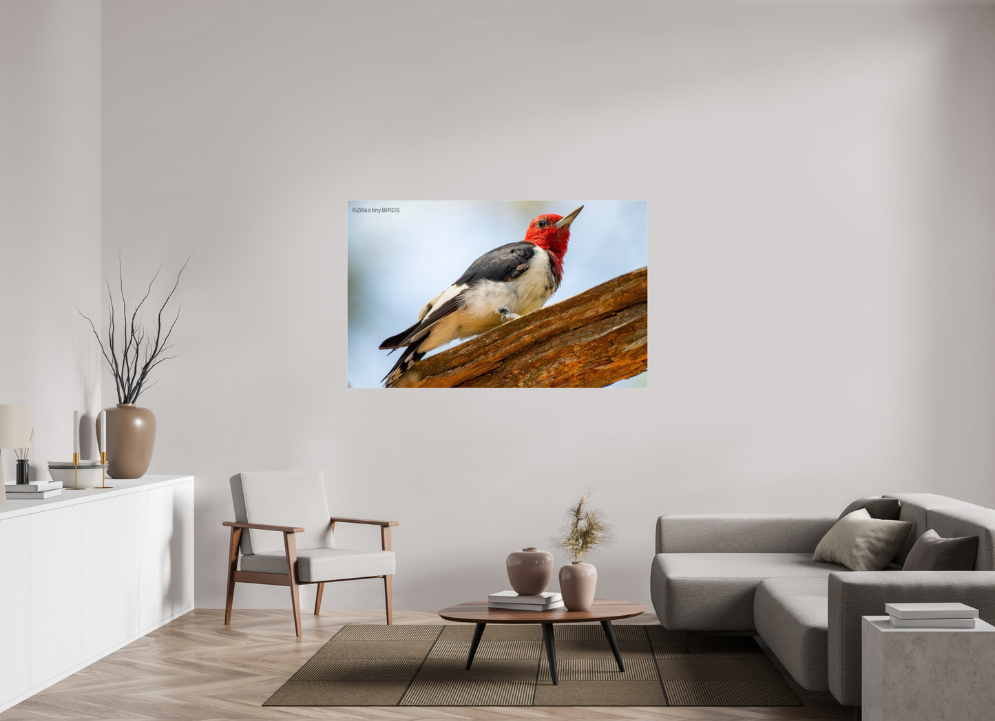 62.4 x 39″, Photo Print Under Acrylic Glass Zillas Zoom Image 328