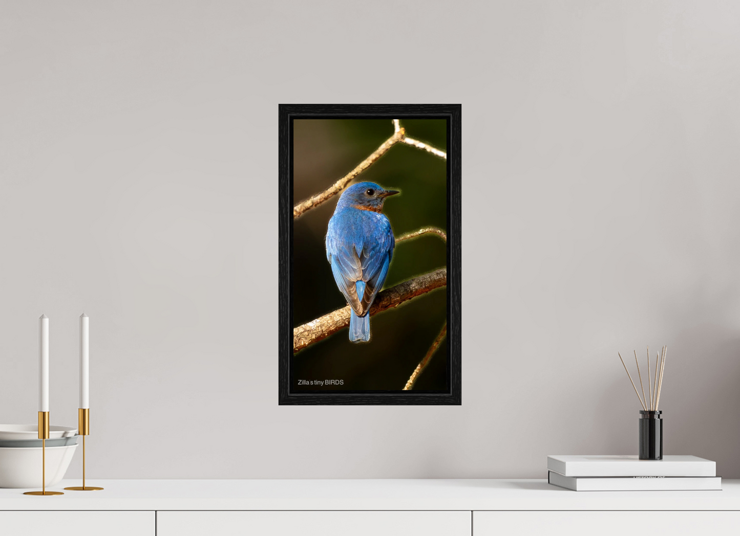 9 x 16″, Floater Frame Zillas Zoom Image 489