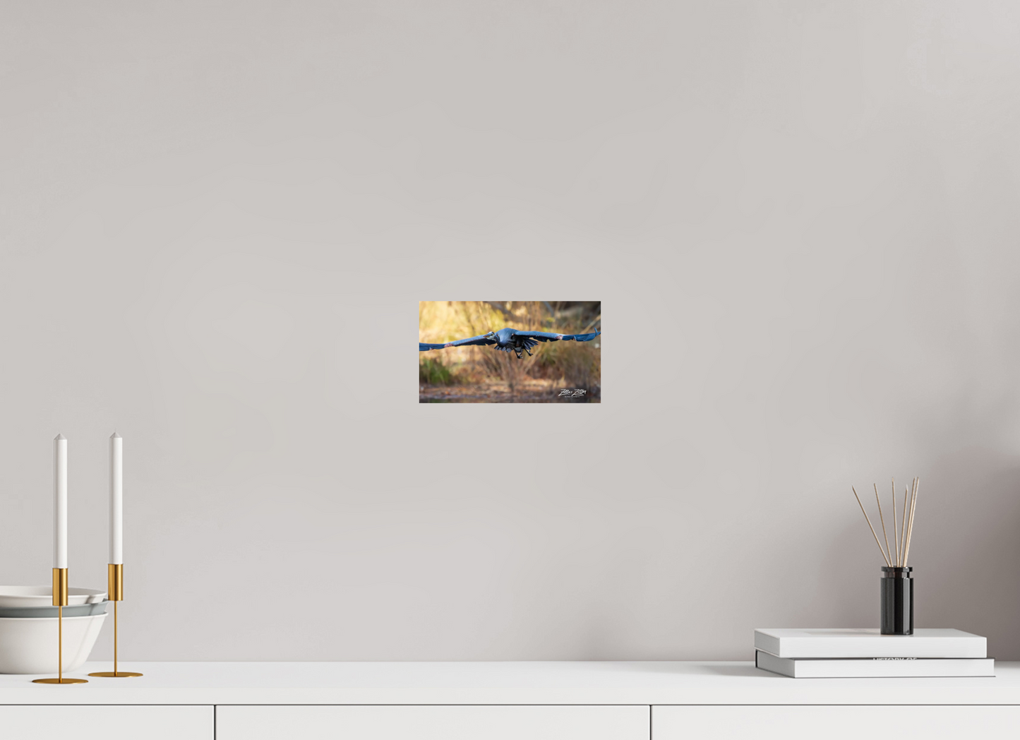 8 x 4.5″, Photo Print On Fuji Crystal DP II Zillas Zoom Image 296