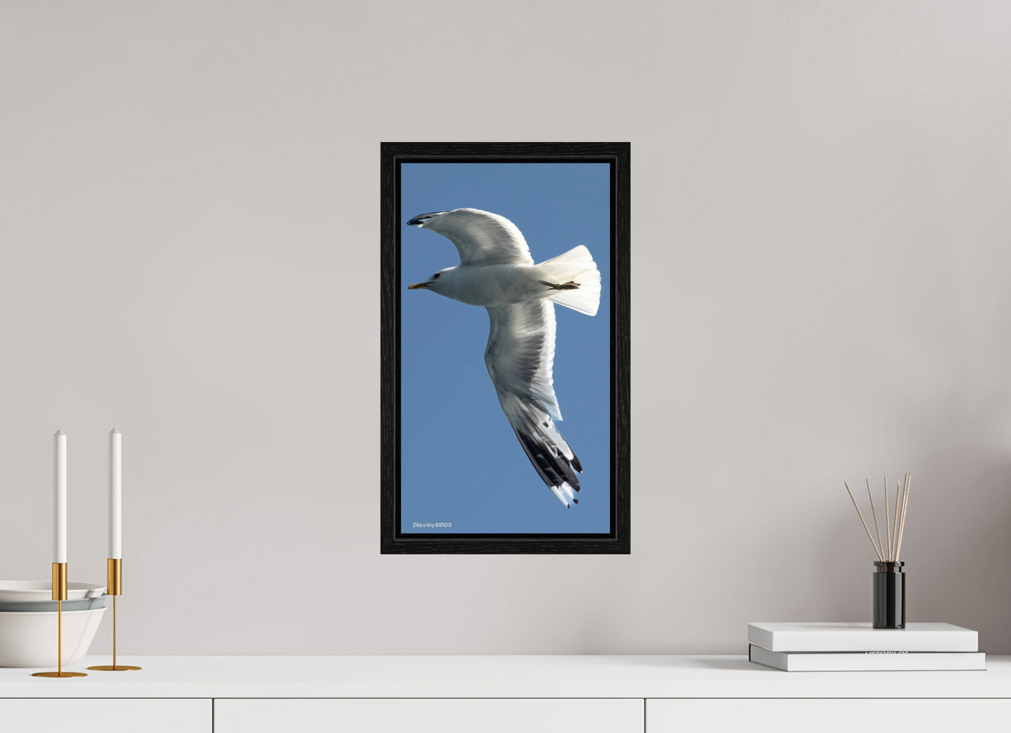 9 x 16″, Floater Frame Zillas Zoom Image 465