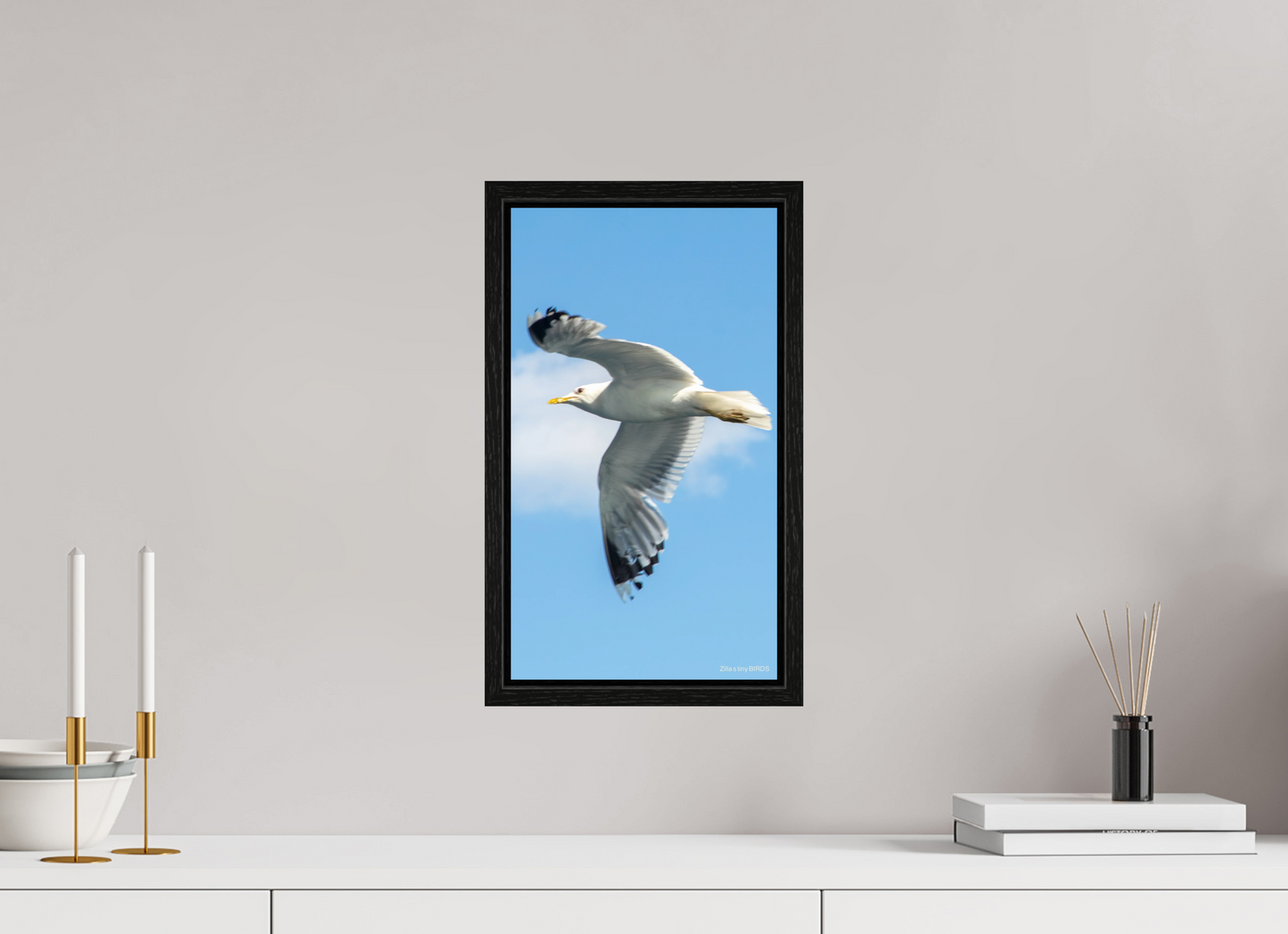 9 x 16″, Floater Frame Zillas Zoom Image 466