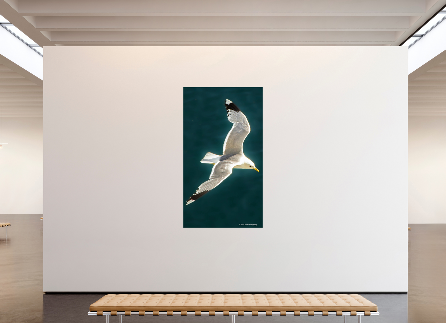 45 x 80″, Photo Print On Fuji Crystal DP II Zillas Zoom Image 467