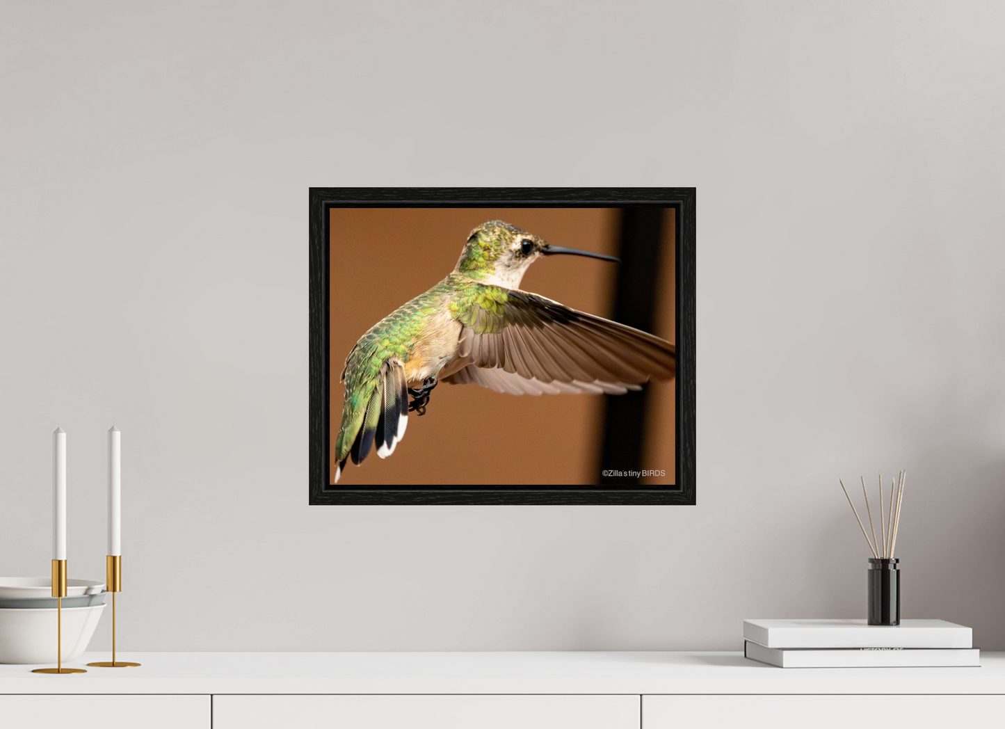 15 x 12″, Floater Frame Zillas Zoom Image 336