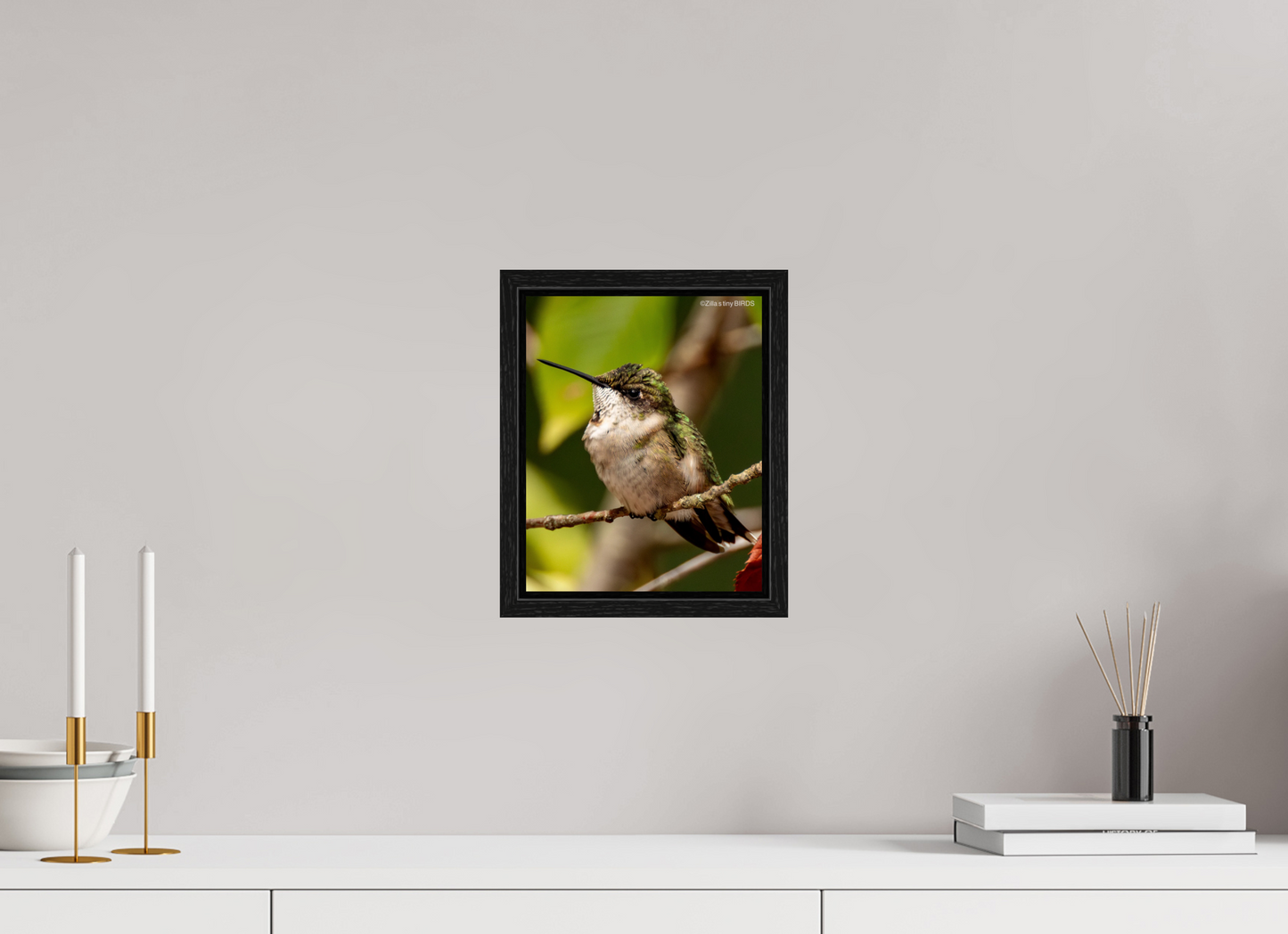 8 x 10″, Floater Frame Zillas Zoom Image 515
