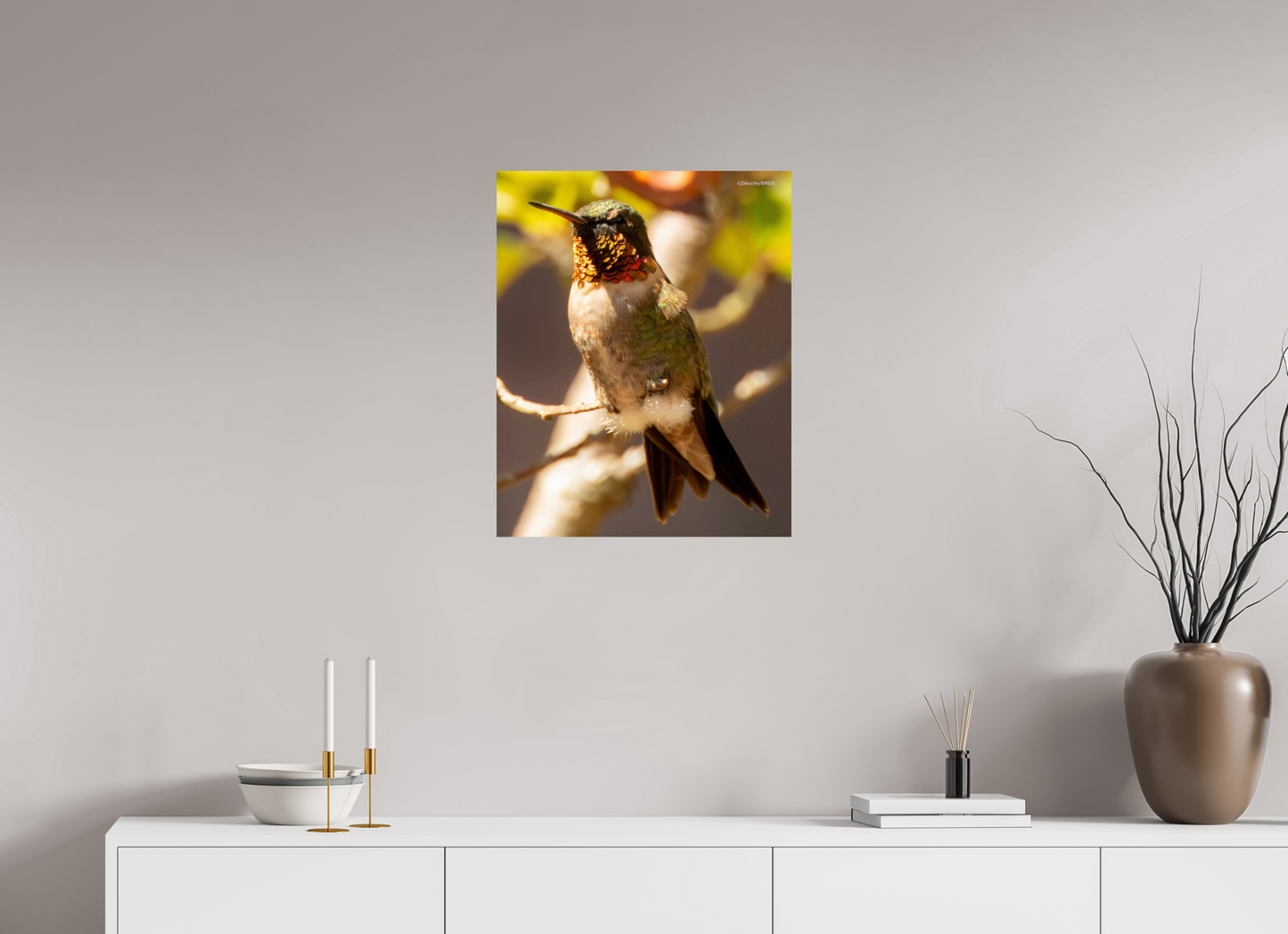 20 x 24.8″, Photo Print On Fuji Crystal DP II Zillas Zoom Image 339