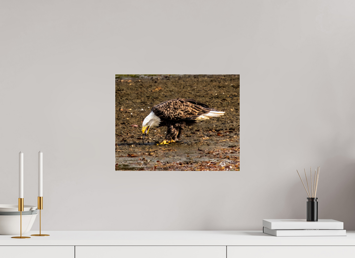 15.5 x 12″, Photo Print Under Acrylic Glass Zillas Zoom Image 306