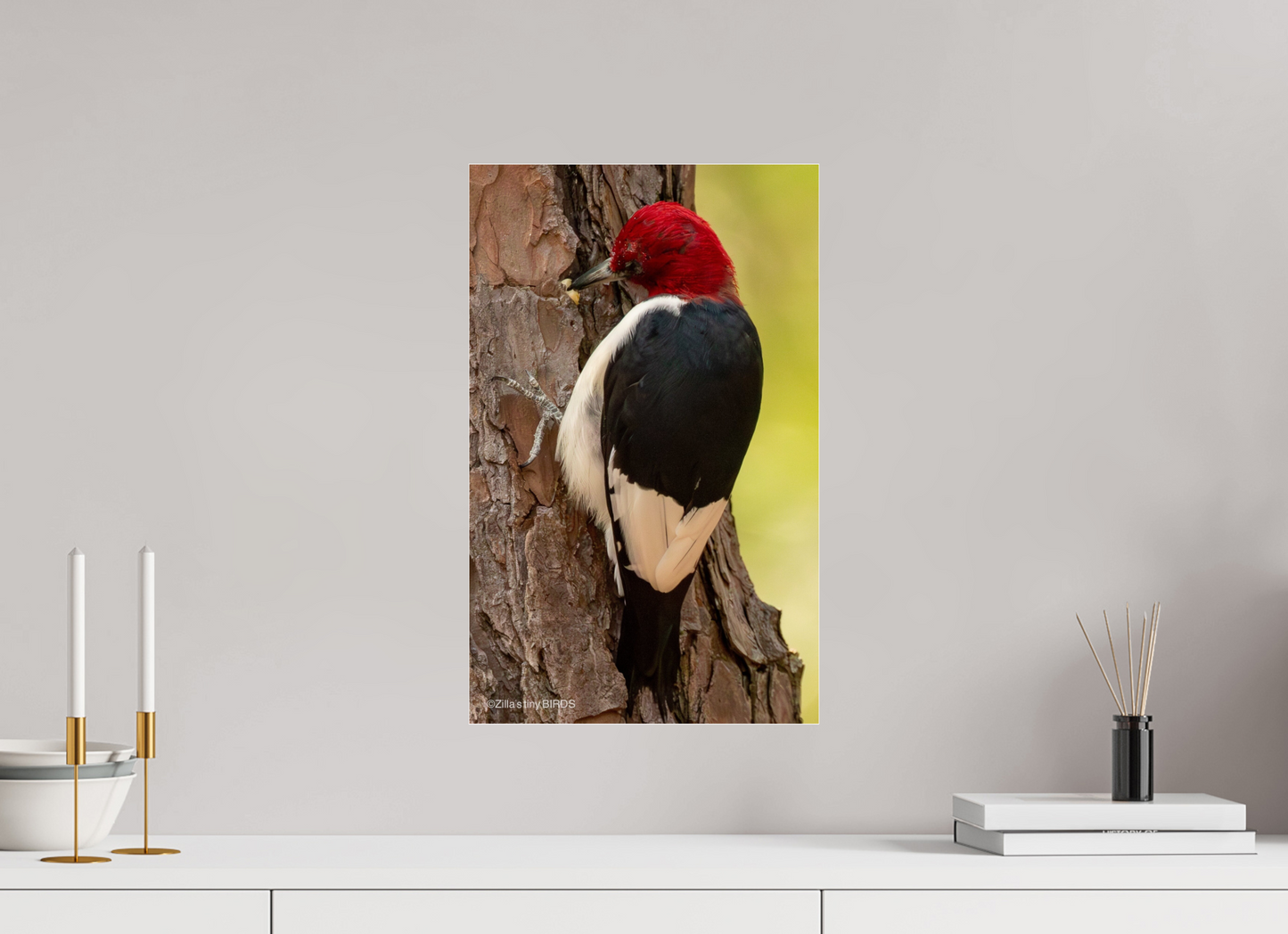 12 x 19.2″, Photo Print Under Acrylic Glass Zillas Zoom Image 461