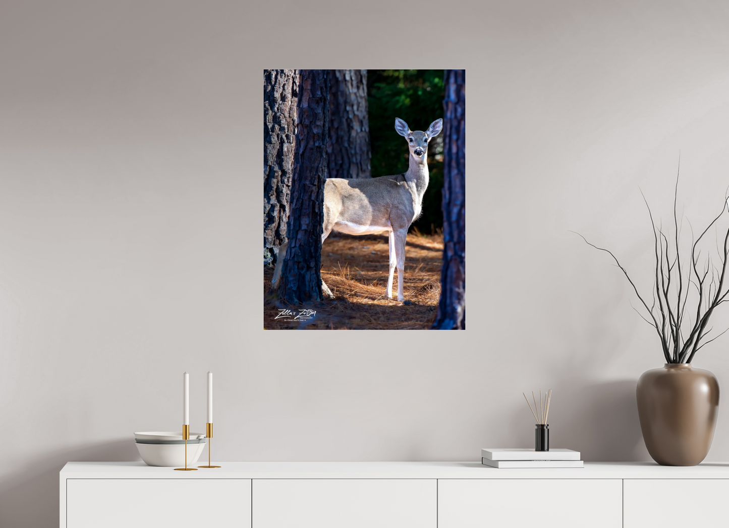 24 x 31.1″, Photo Print Under Acrylic Glass Zillas zoom image 154