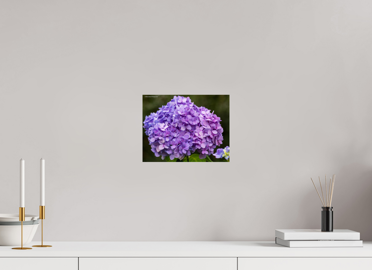 10.4 x 8″, Photo Print Under Acrylic Glass Zillas Zoom Image 95