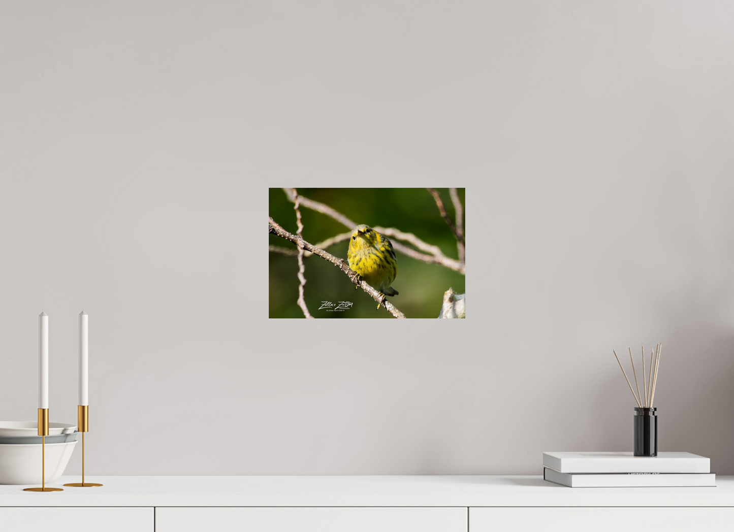 12 x 8″, Photo Print On Fuji Crystal DP II Zillas Zoom Image 307