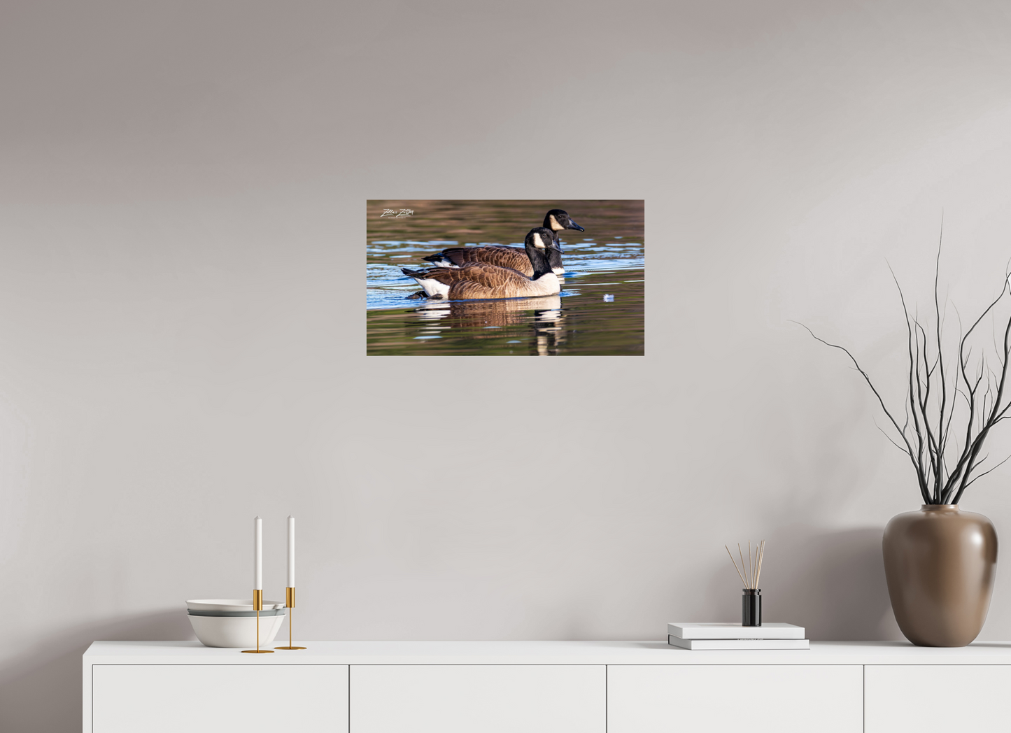 24 x 13.5″, Photo Print On Fuji Crystal DP II Zillas Zoom Image 279