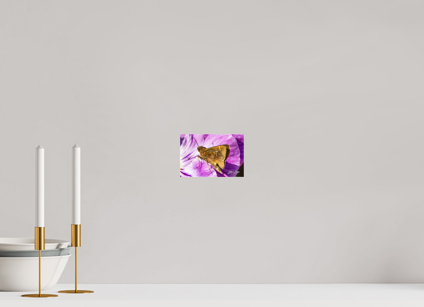 6 x 4″, Photo Print Under Acrylic Glass Zillas Zoom Image 62