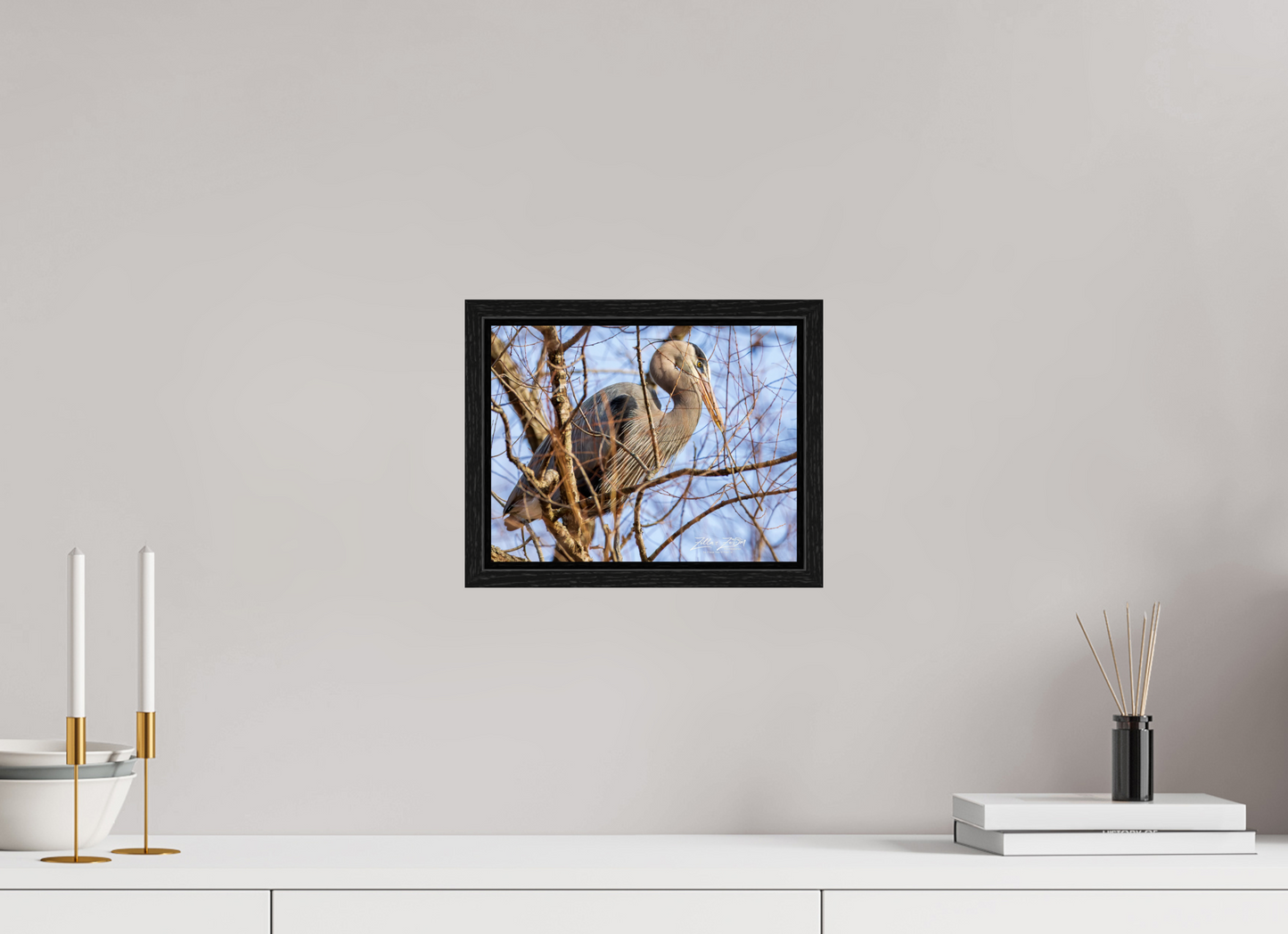 10.4 x 8″, Floater Frame Zillas Zoom Image 363