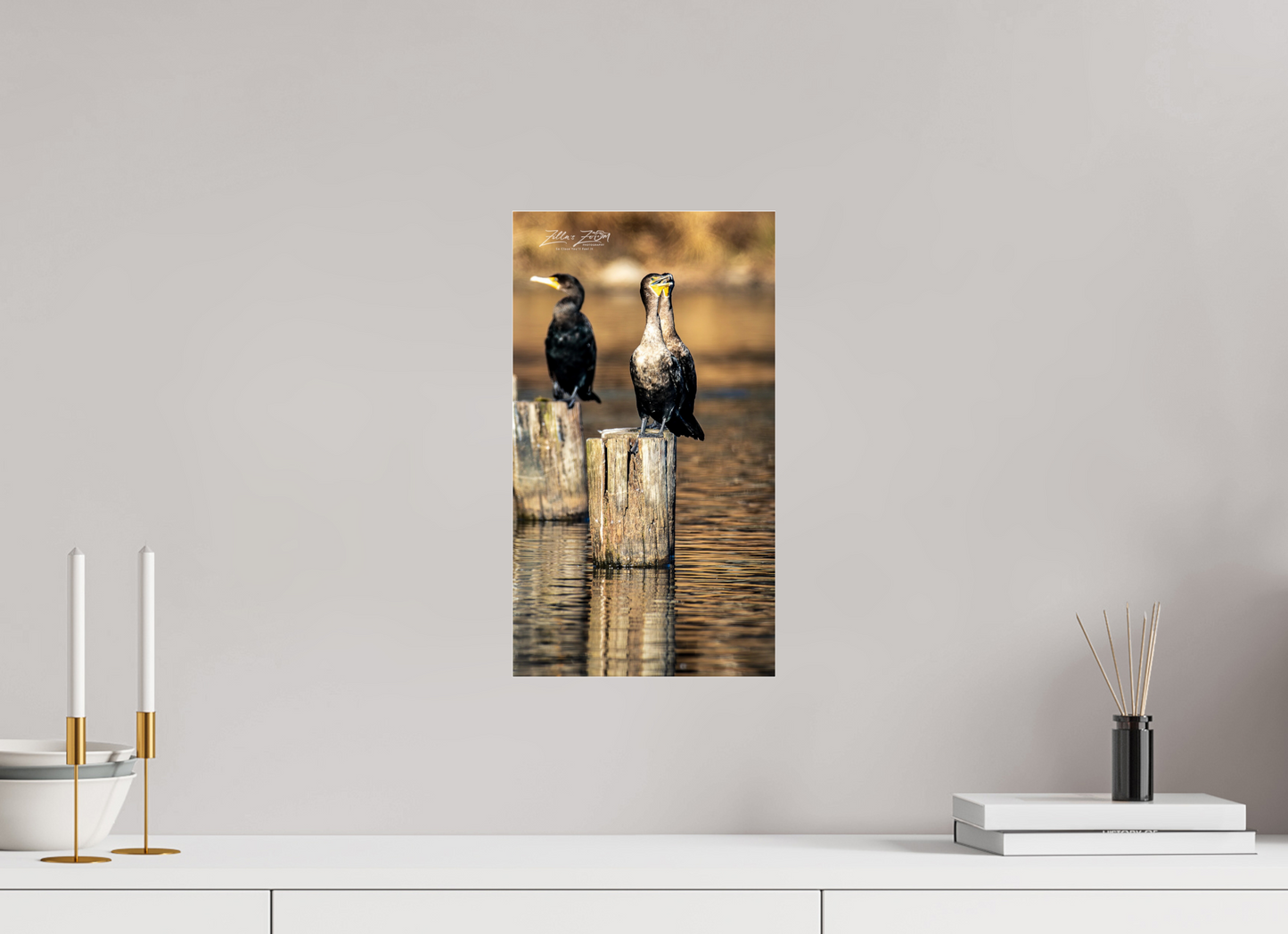 9 x 16″, Photo Print Under Acrylic Glass Zillas Zoom Image 426
