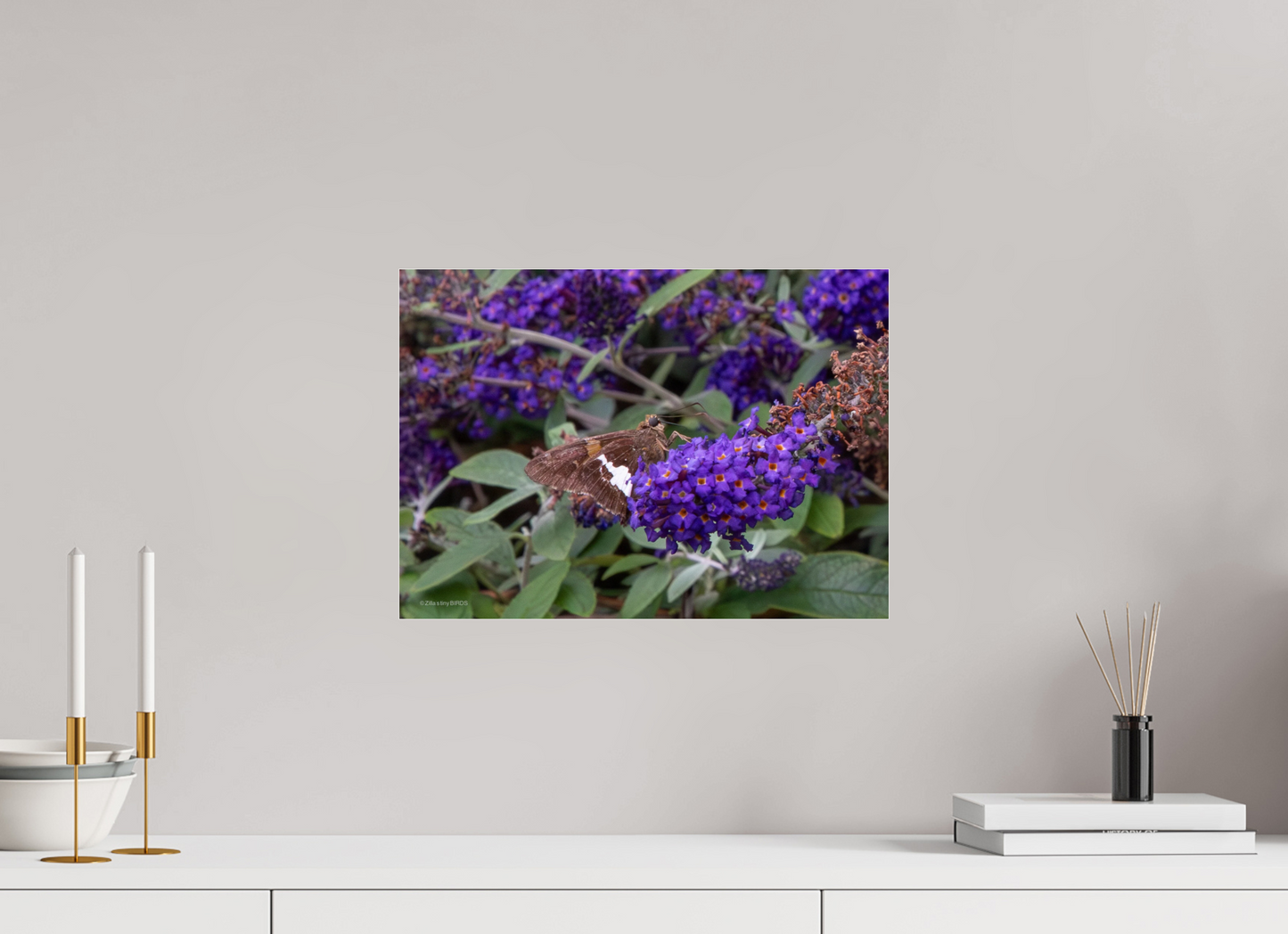 16.8 x 12″, Photo Print Under Acrylic Glass Zillas Zoom Image 60