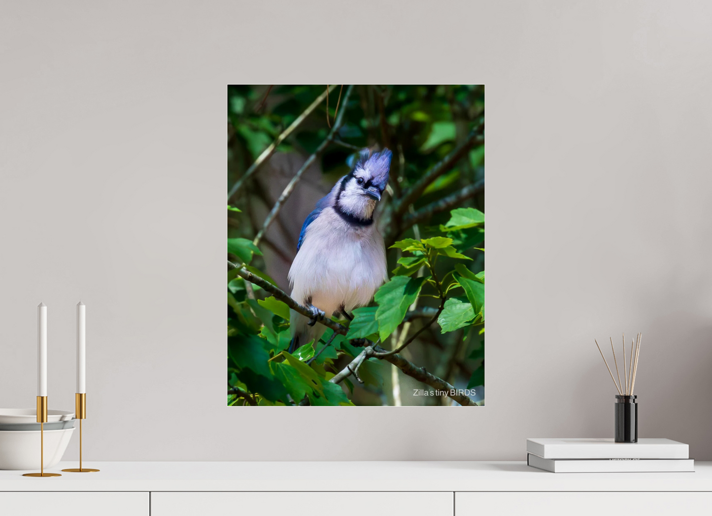16 x 20″, Photo Print Under Acrylic Glass Zillas Zoom Image 497