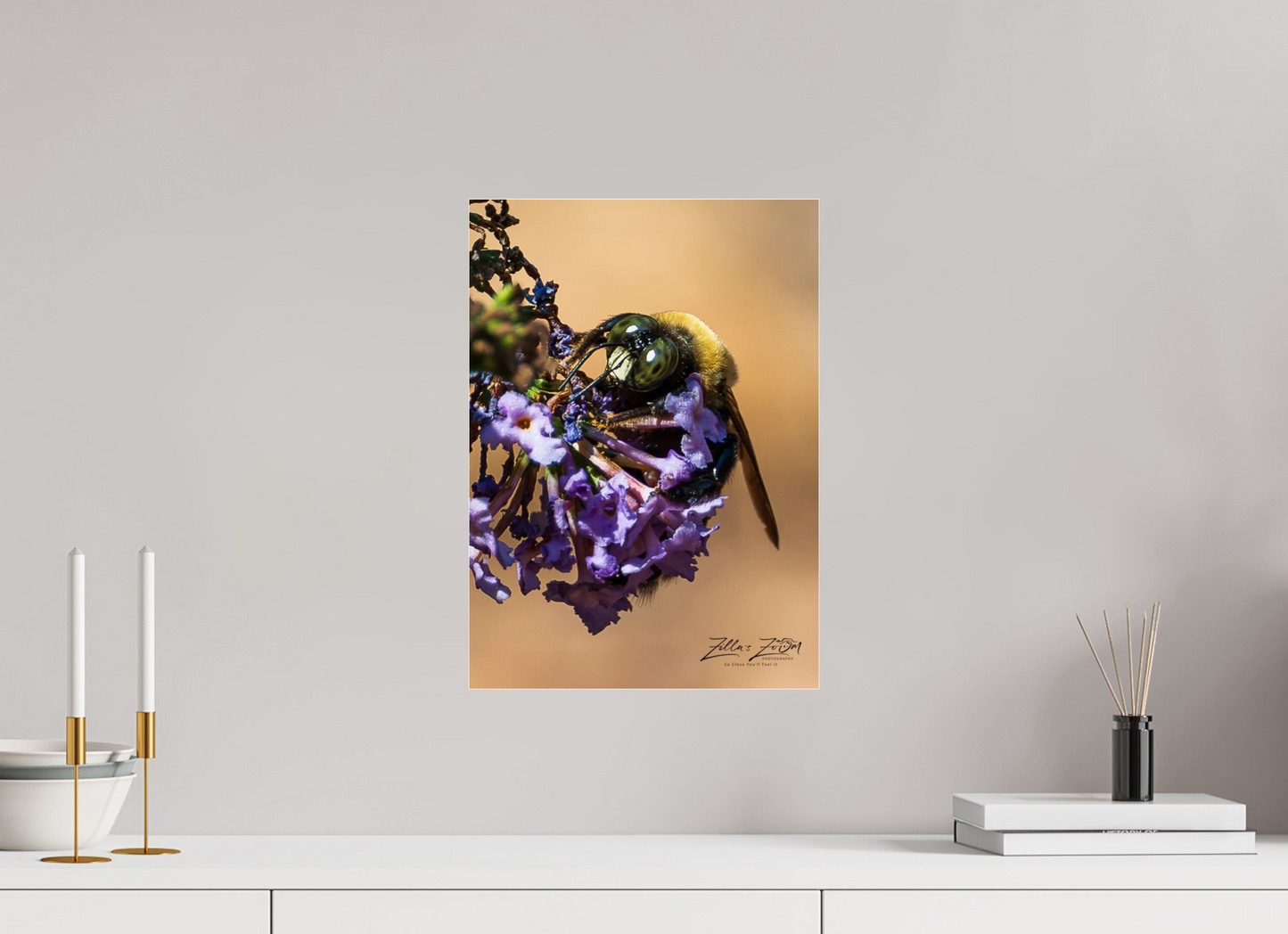 12 x 16.8″, Photo Print Under Acrylic Glass Zillas Zoom Image 107