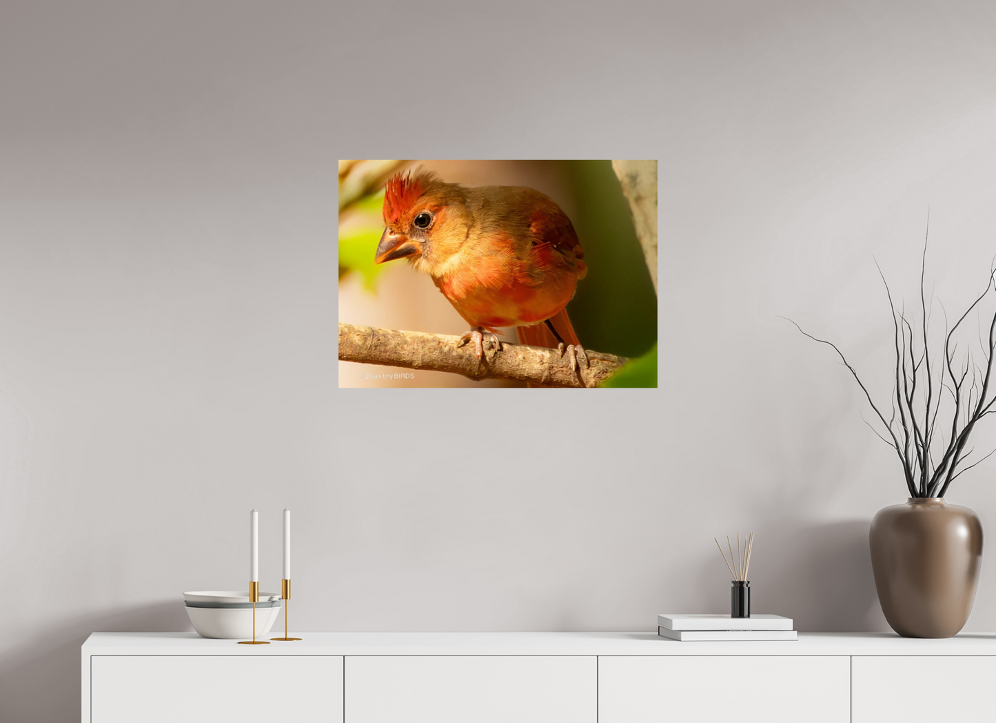 28 x 20″, Photo Print On Fuji Crystal DP II Zillas Zoom Image 316