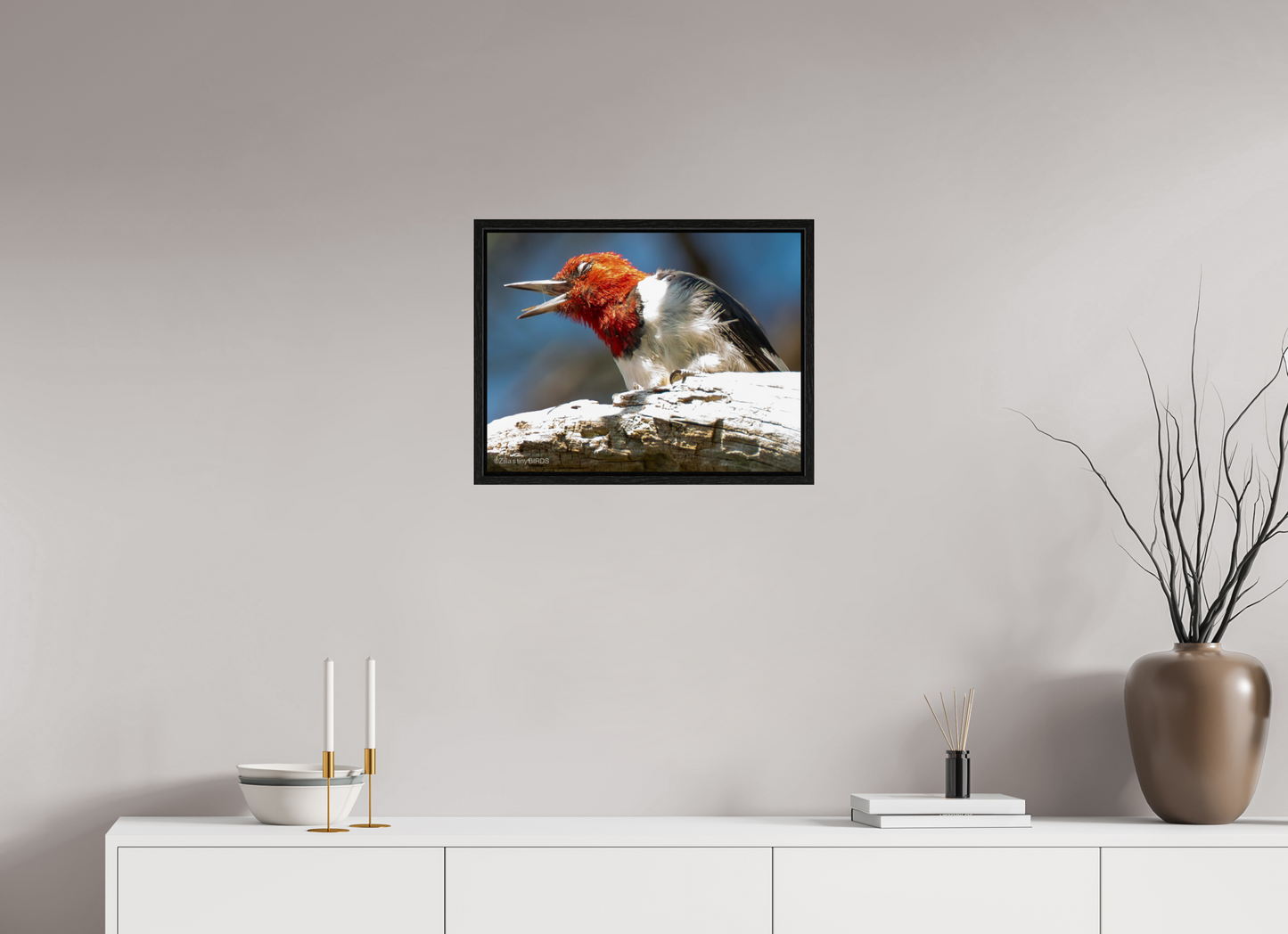 21 x 16″, Floater Frame Zillas Zoom Image 269