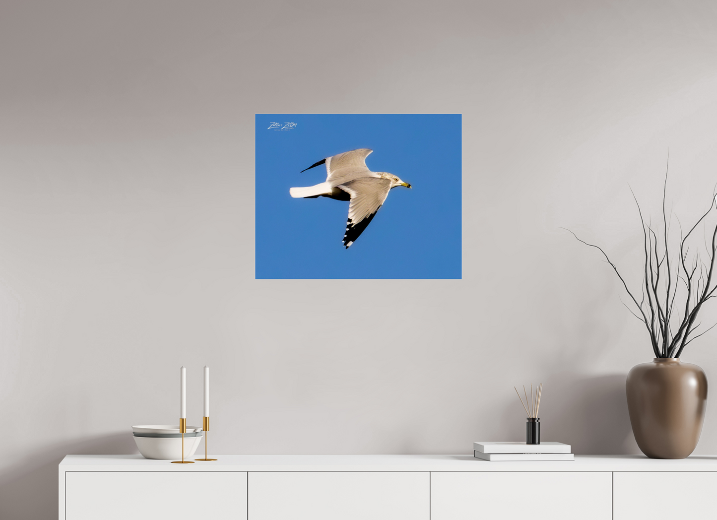 25 x 20″, Photo Print Under Acrylic Glass Zillas Zoom Image 266