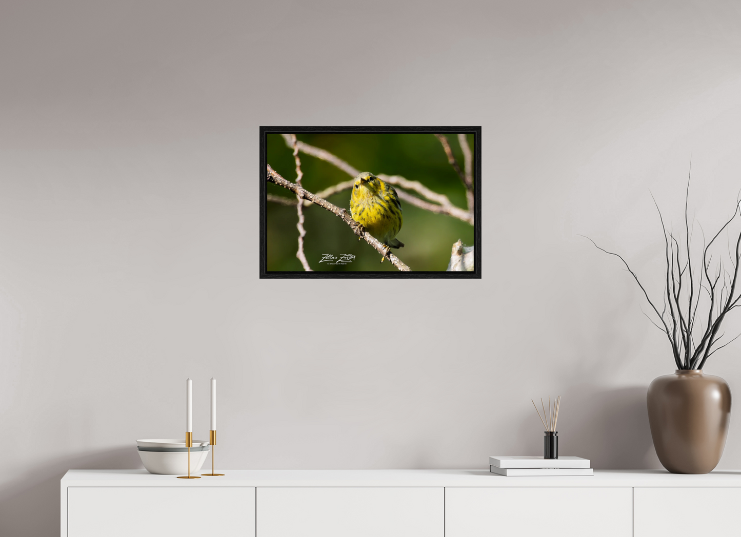 24 x 16″, Floater Frame Zillas Zoom Image 307