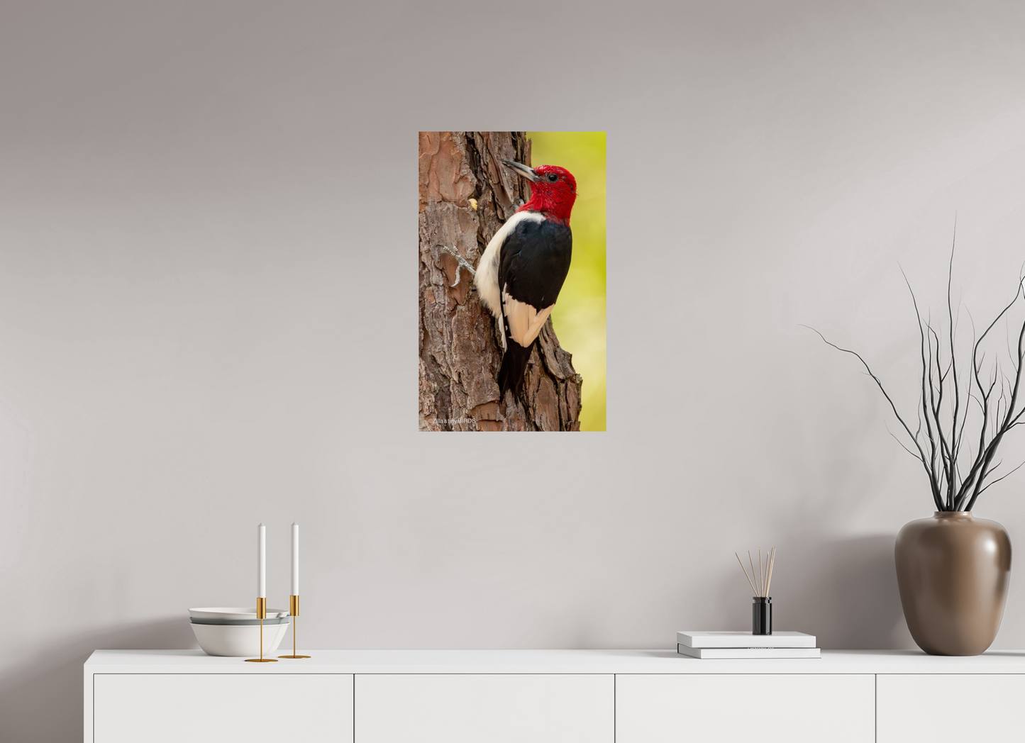16 x 25.6″, Photo Print On Fuji Crystal DP II Zillas Zoom Image 463