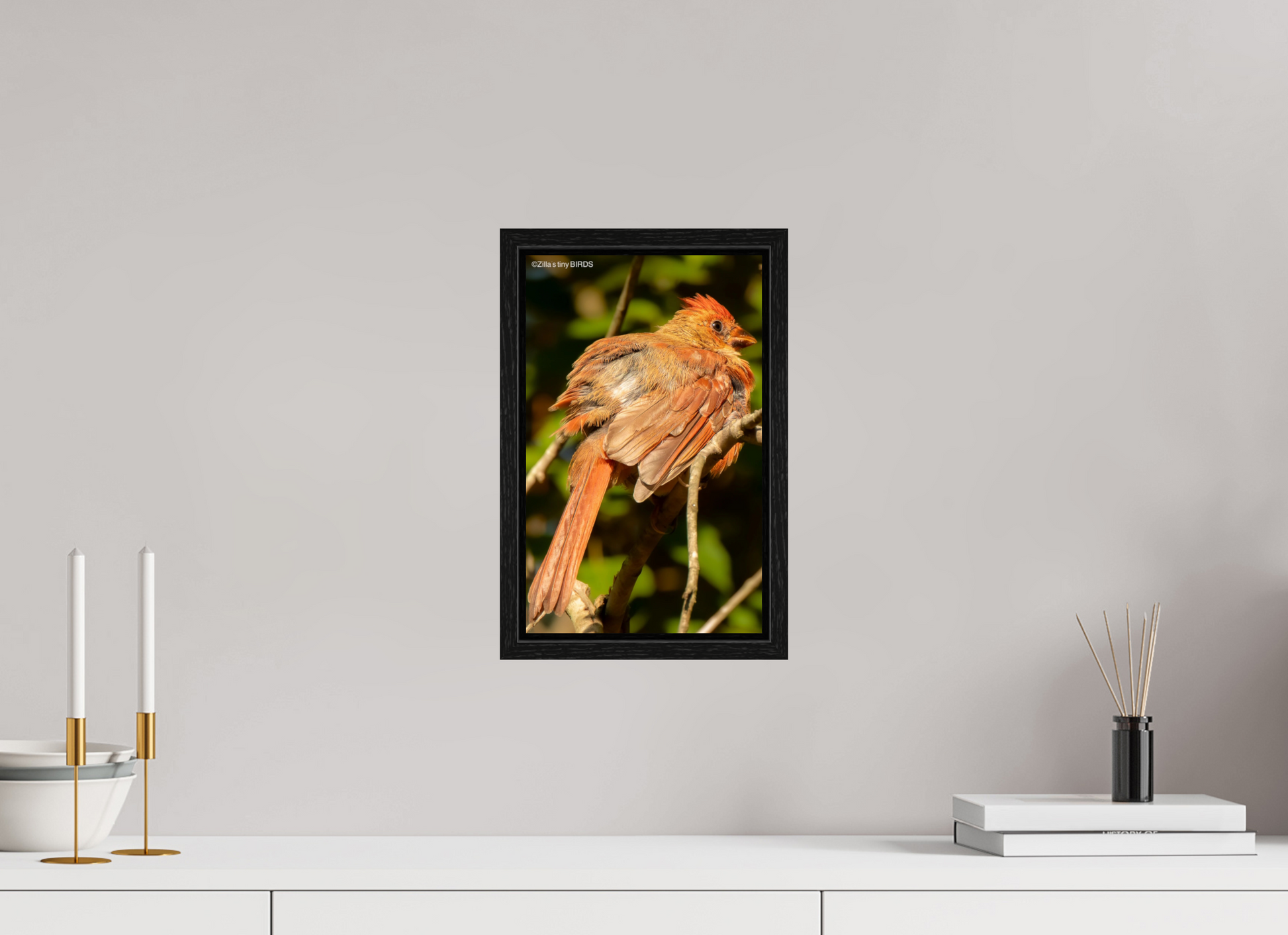 8 x 12.8″, Floater Frame Zillas Zoom Image 403