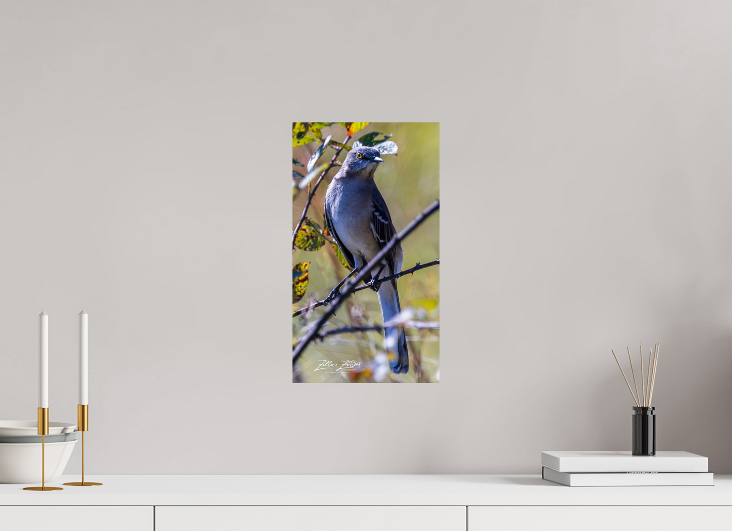 9 x 16″, Photo Print On Fuji Crystal DP II Zillas Zoom Image 408