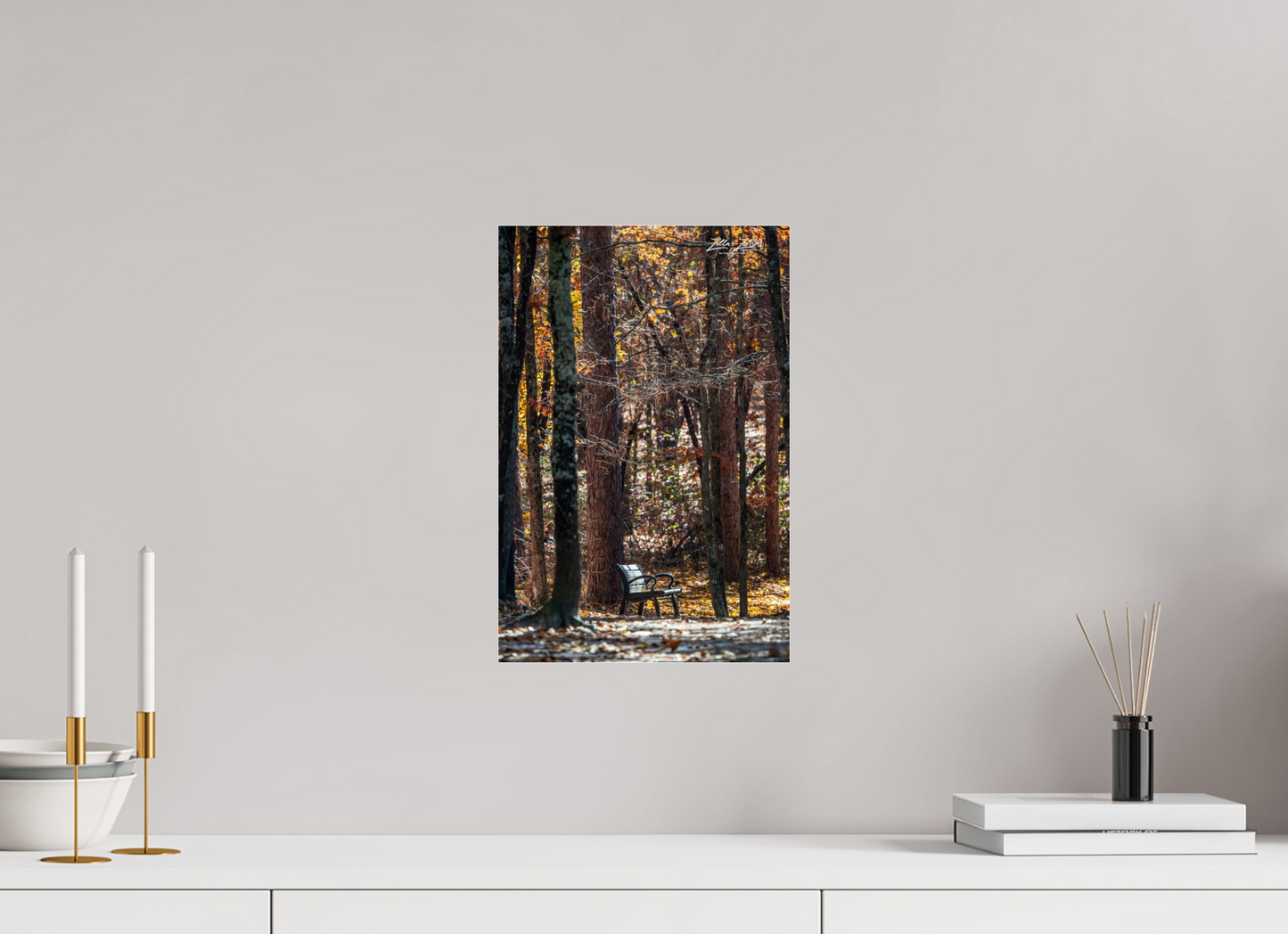 10 x 15″, Photo Print Under Acrylic Glass Zillas Zoom Image 259