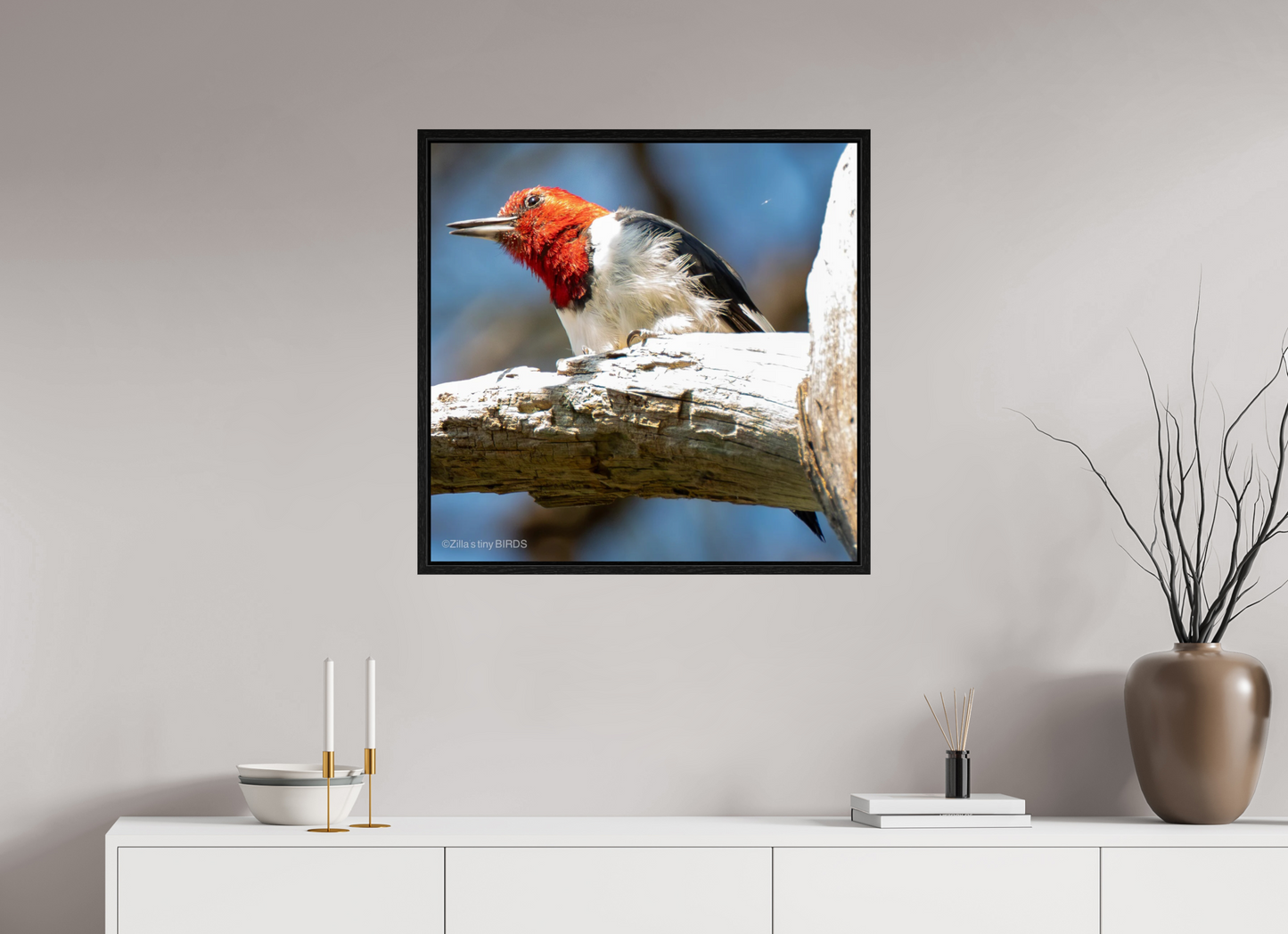 28.5 x 28″, Floater Frame Zillas Zoom Image 273