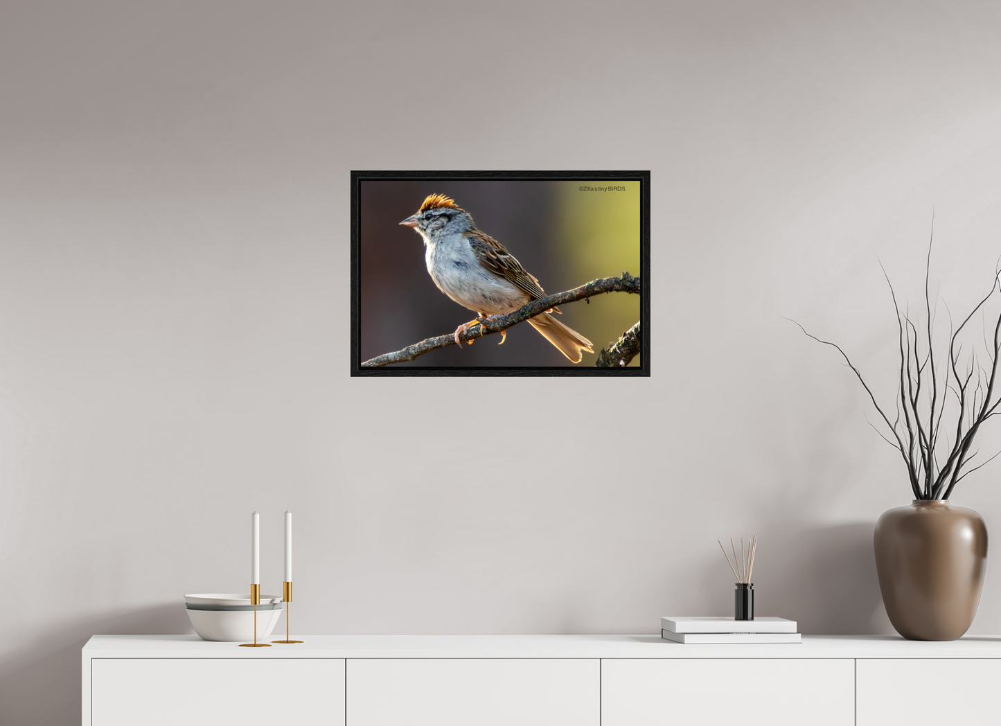 24 x 16″, Floater Frame Zillas Zoom Image 308