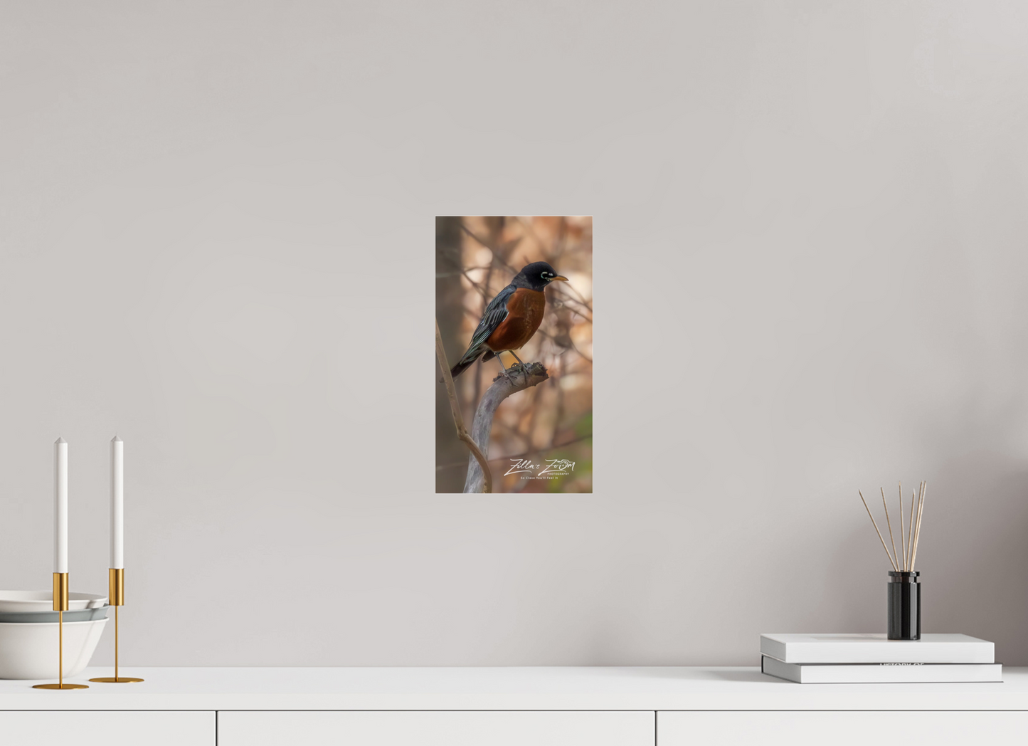 6.8 x 12″, Photo Print Under Acrylic Glass Zillas Zoom Image 414