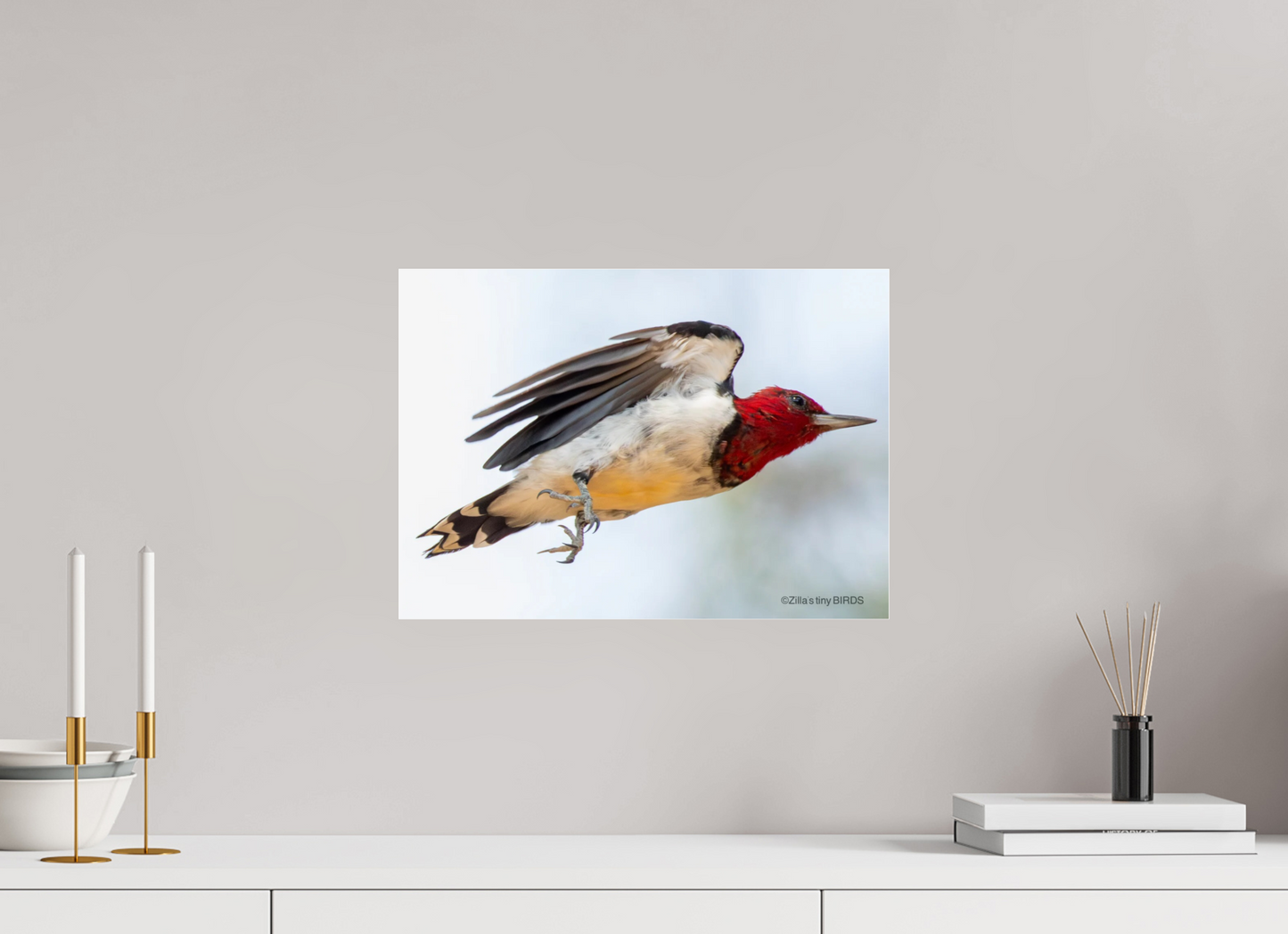 16.8 x 12″, Photo Print Under Acrylic Glass Zillas Zoom Image 325