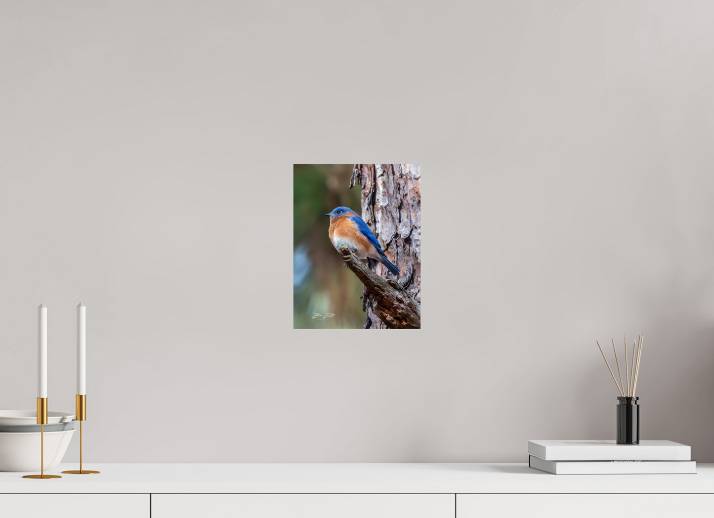 8 x 10.4″, Photo Print On Fuji Crystal DP II Zillas Zoom Image 512
