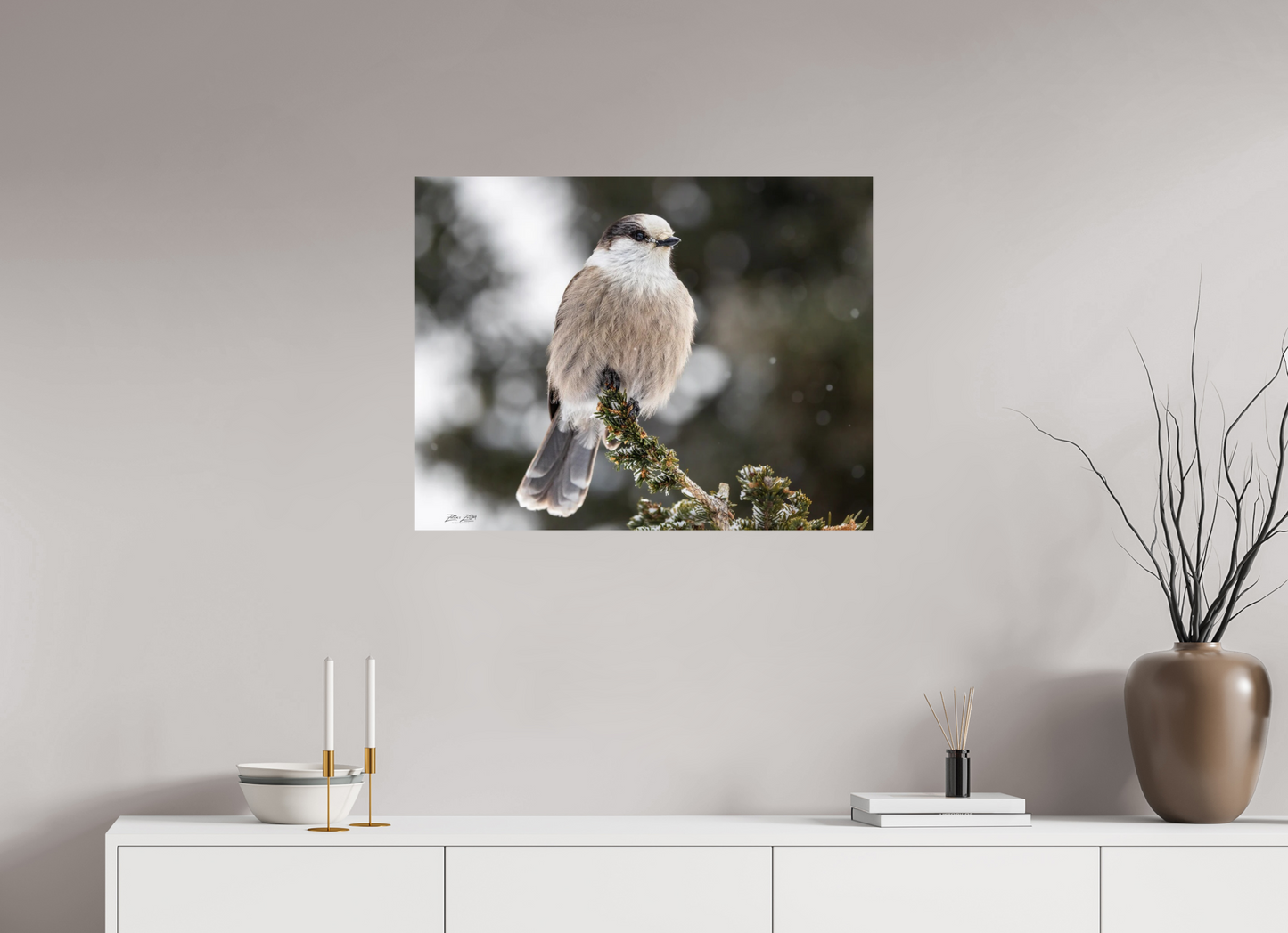 31.1 x 24″, Photo Print On Fuji Crystal DP II Zillas Zoom Image 353